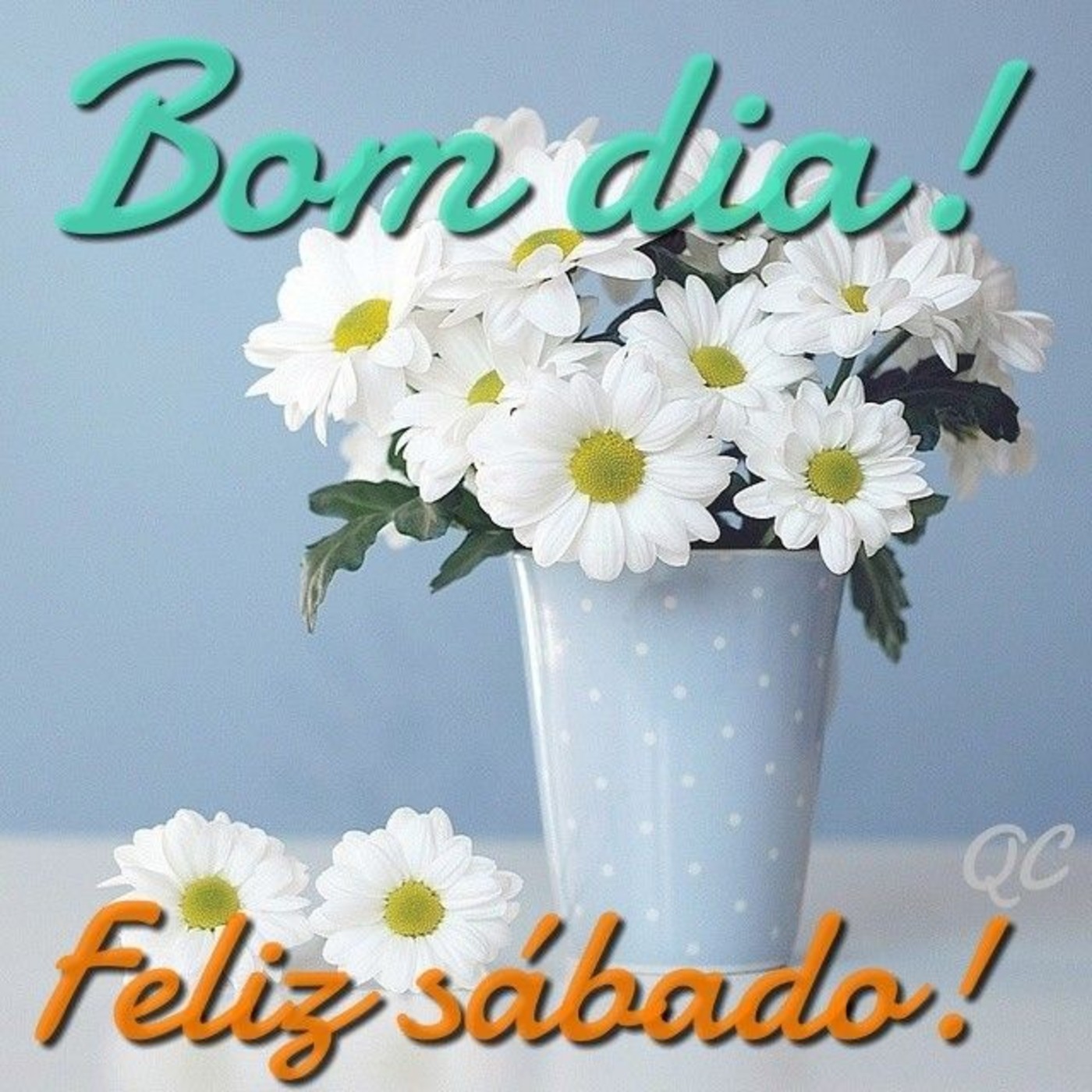 Feliz Sábado com flores lindas imagens Feliz Sábado com flores lindas imagens