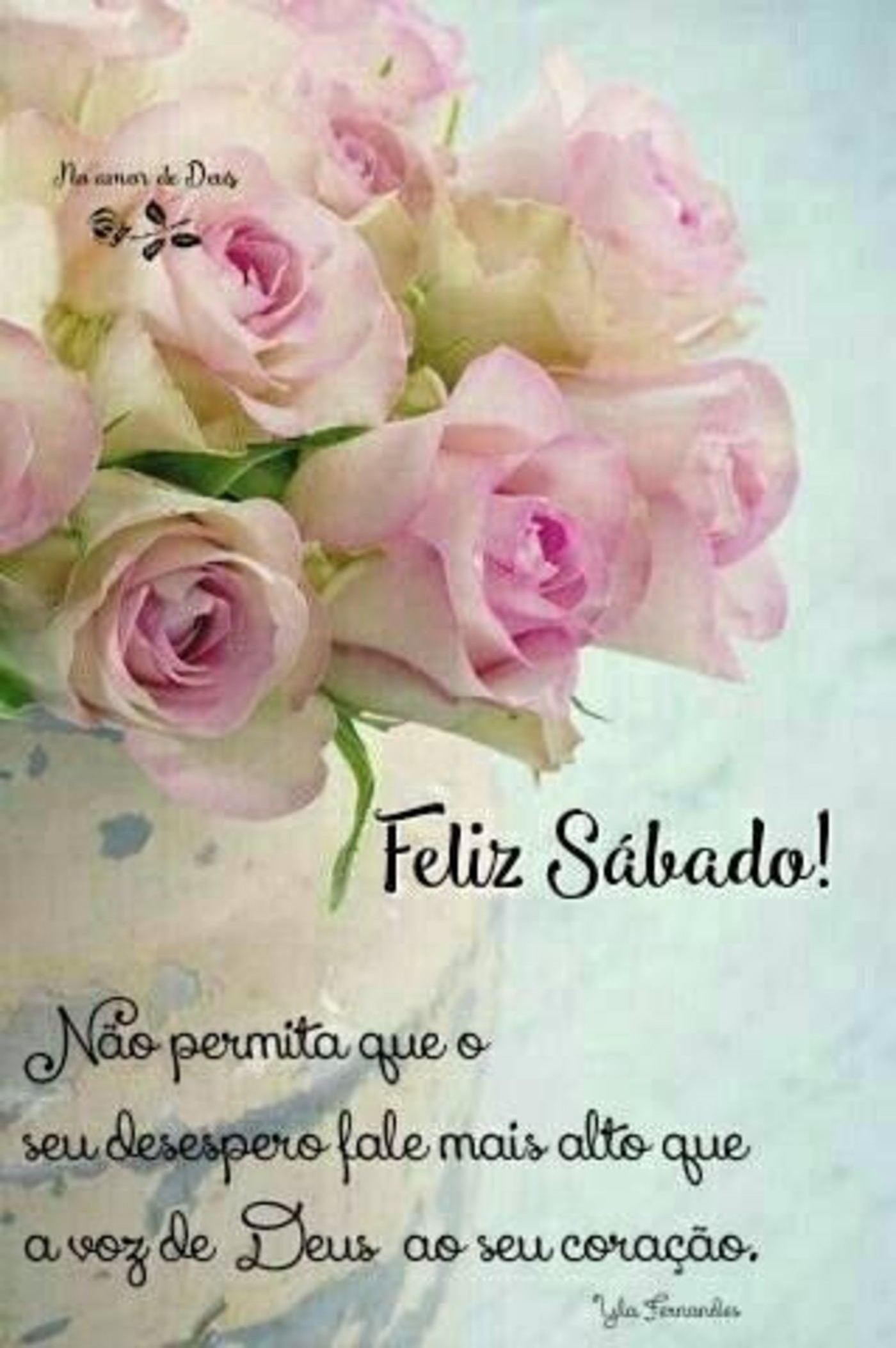 Feliz Sábado com flores lindas imagens Feliz Sábado com flores lindas imagens