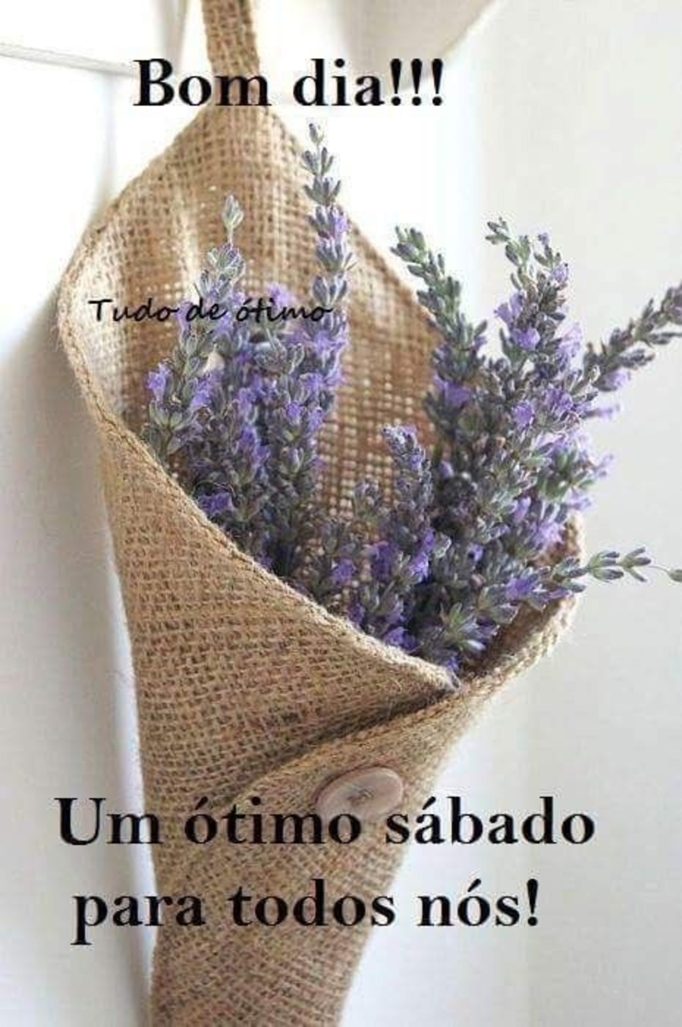 Feliz Sábado lindas frases 258 Feliz Sábado lindas frases 258
