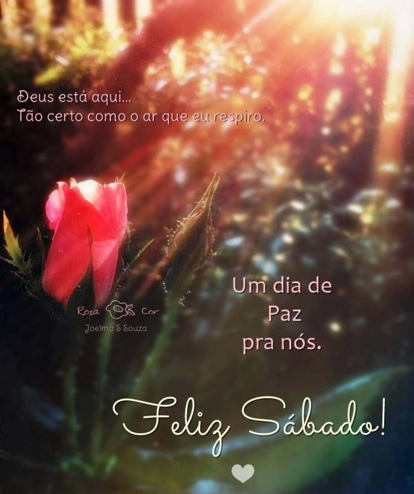 Feliz Sábado para Facebook Feliz Sábado para Facebook