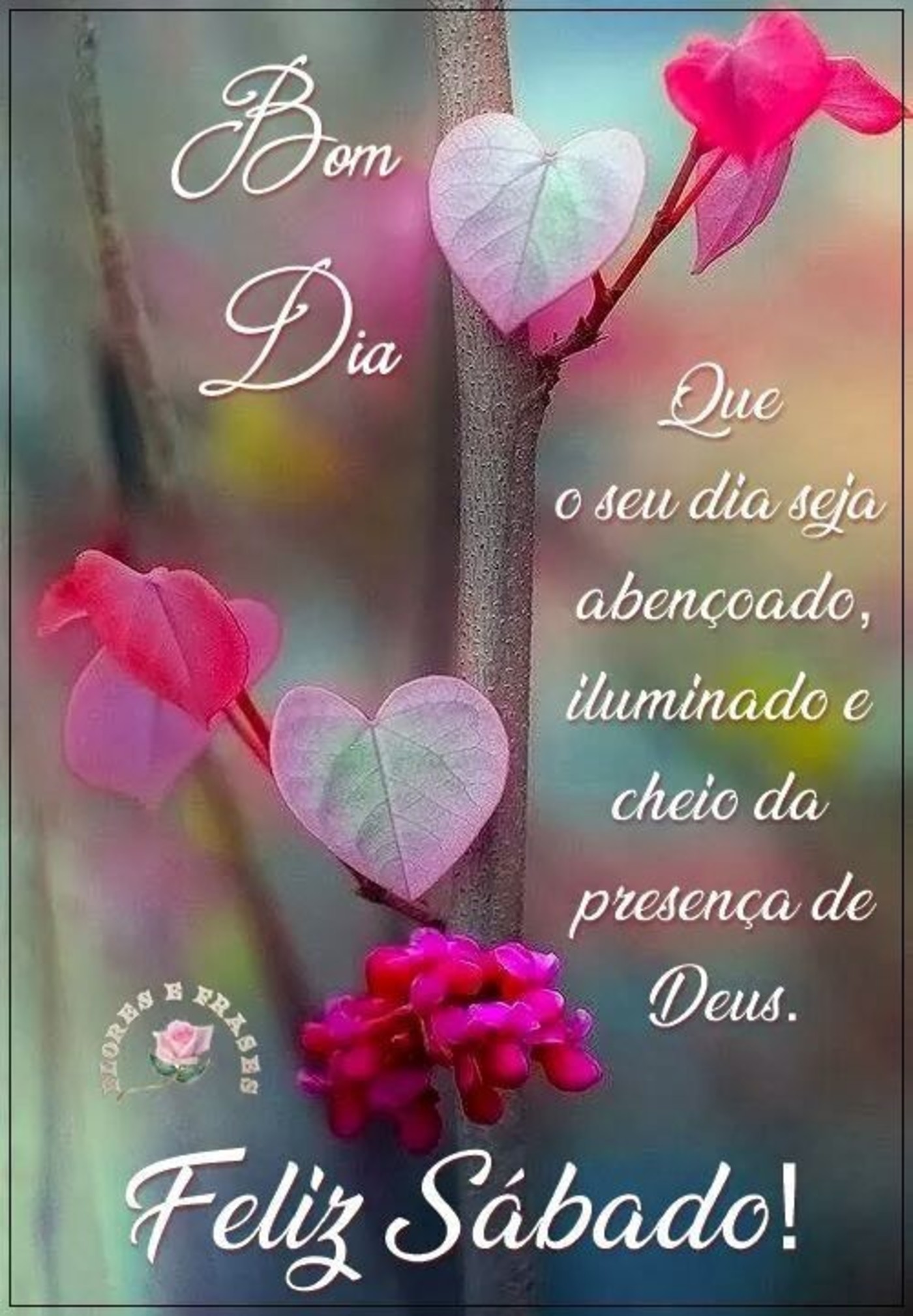 Feliz Sabado e Bom Dia 7