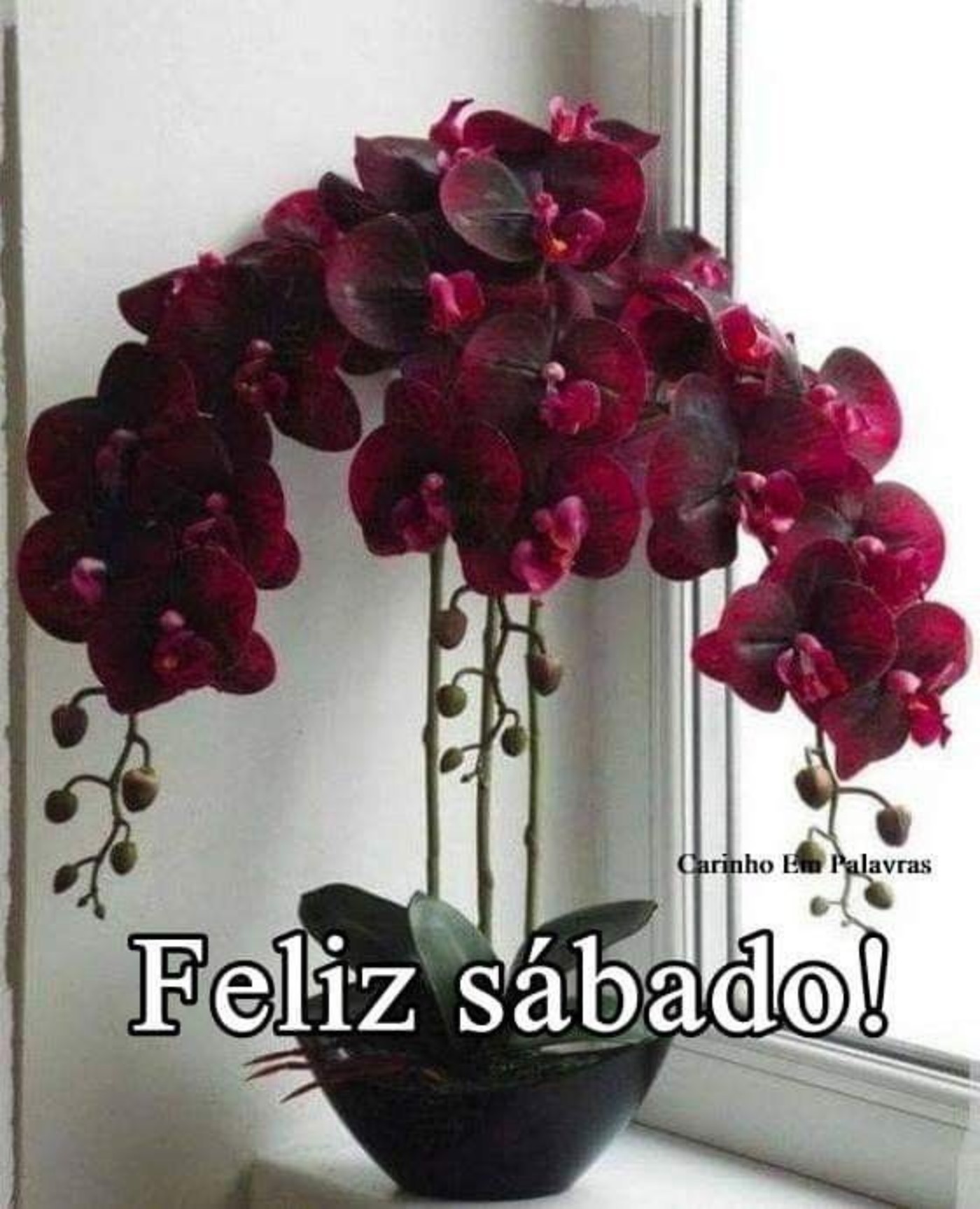 Feliz Sabado e Bom Dia 75