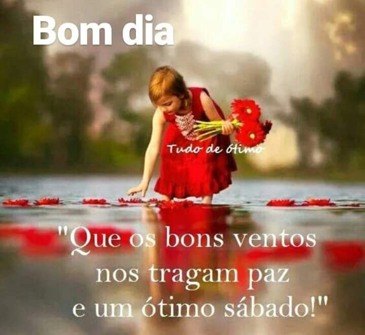 Feliz Sabado e Bom Dia 79 Feliz Sabado e Bom Dia 79