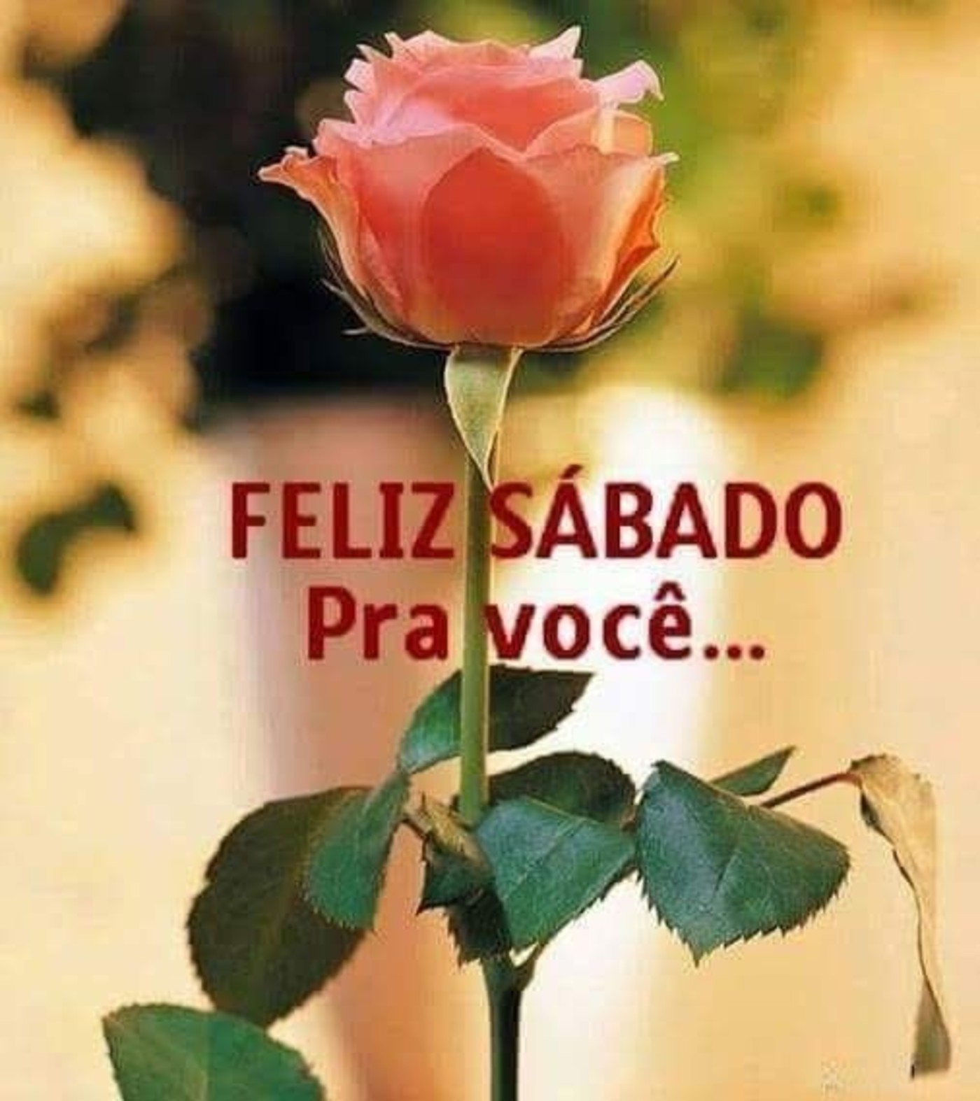 Feliz Sabado pra você 276