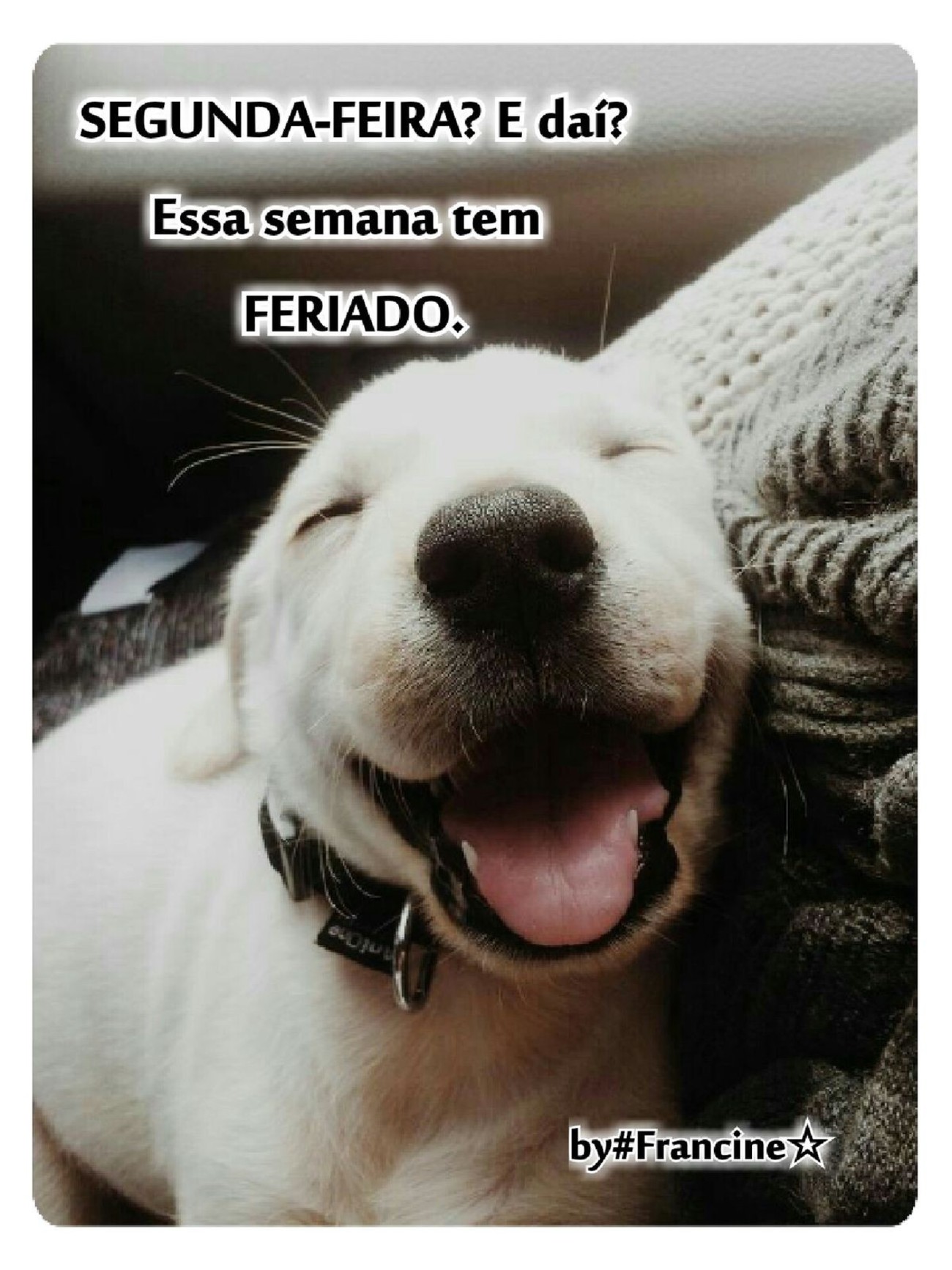Feliz Segunda-feira Facebook 4