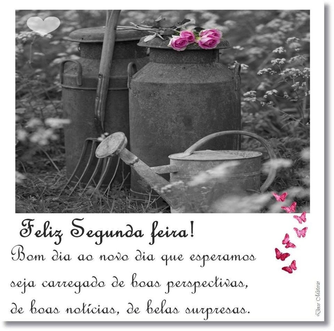 Feliz Segunda-feira belas imagens 17