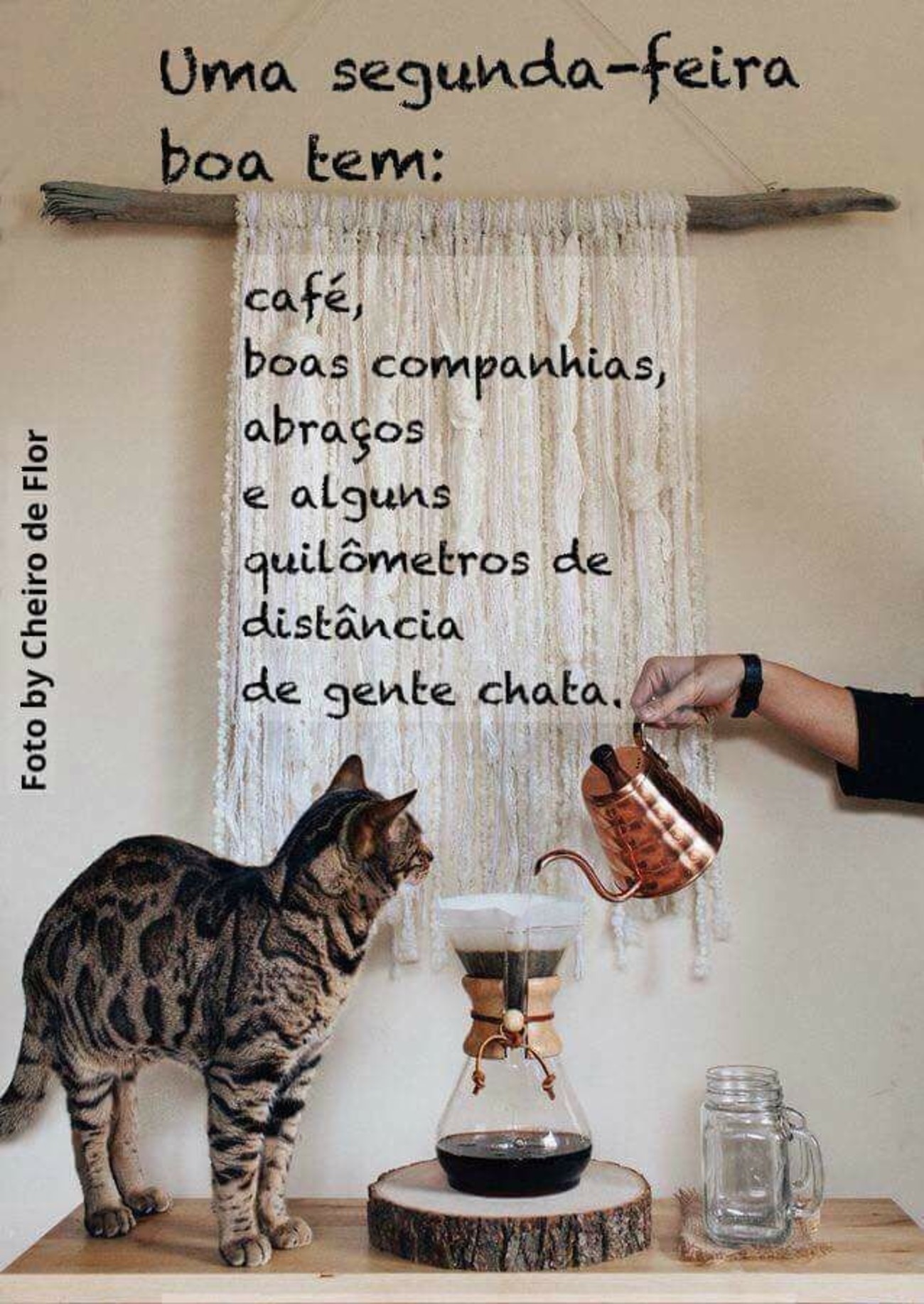 Feliz Segunda-feira belas imagens 174