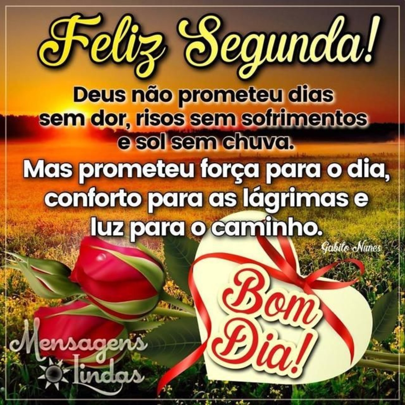 Feliz Segunda-feira bonitas imagens 184