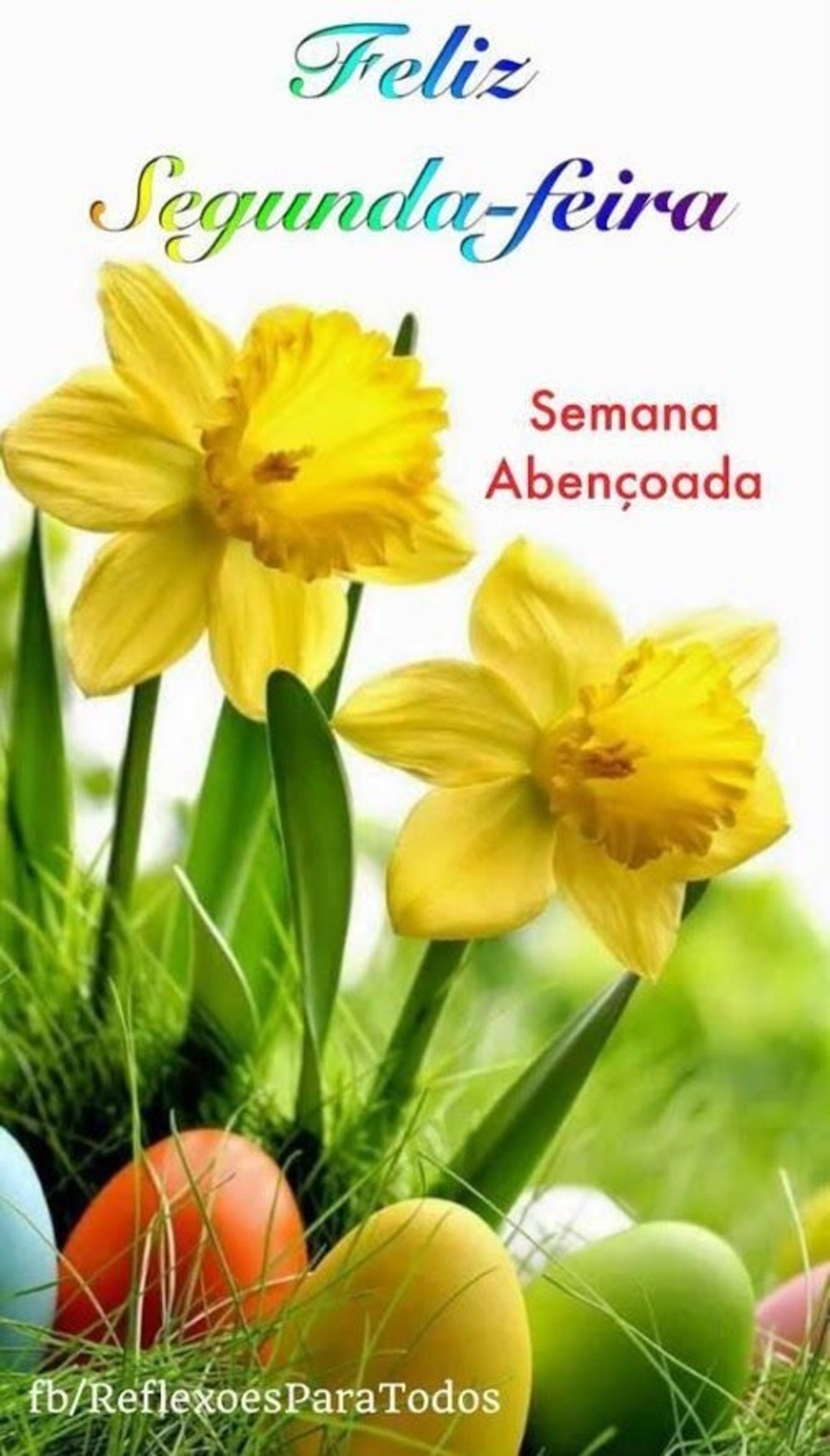 Feliz Segunda-feira com flores 151