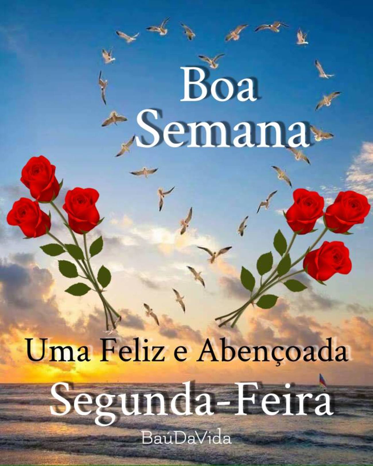 Feliz Segunda-feira com flores 212