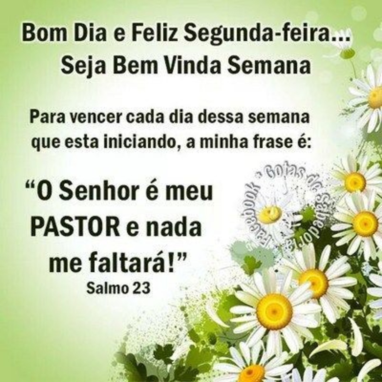 Feliz Segunda-feira e boa semana 12