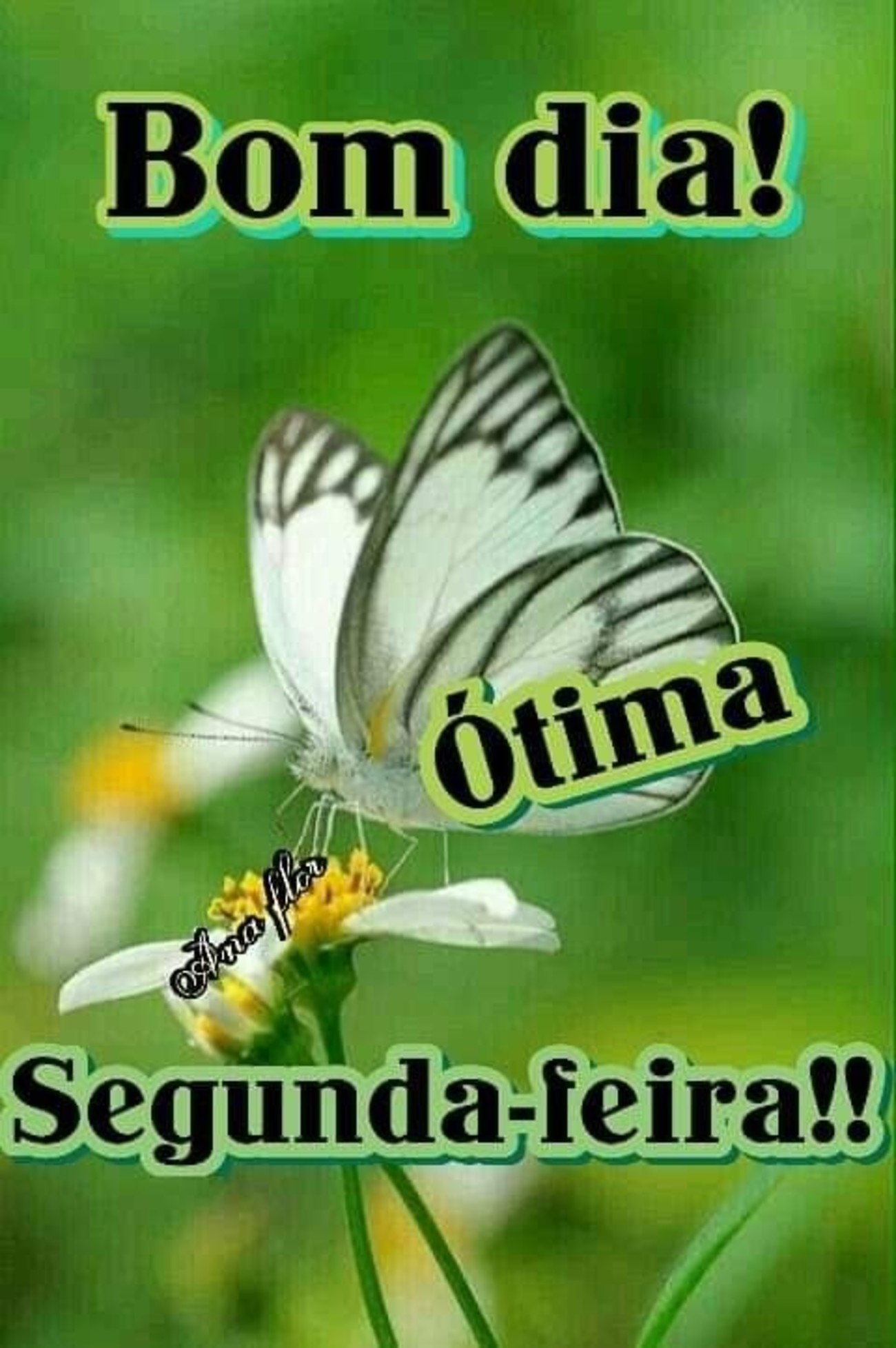 Feliz Segunda-feira frases 210 Feliz Segunda-feira frases 210