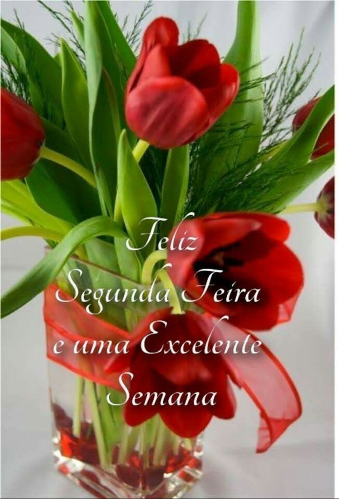 Feliz Segunda-feira meu amor 135