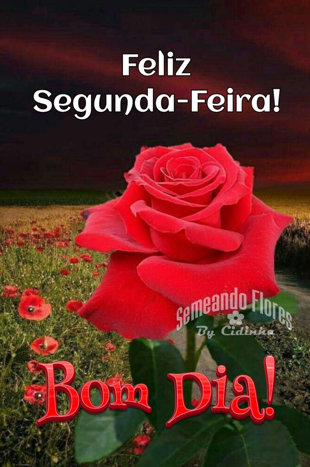 Feliz Segunda-feira meu amor 192