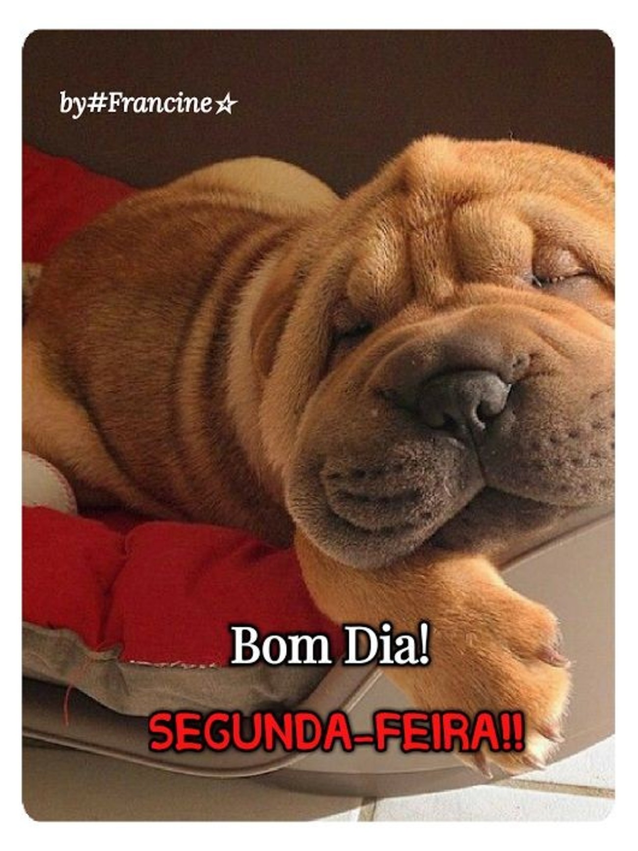 Feliz Segunda-feira meu amor 86