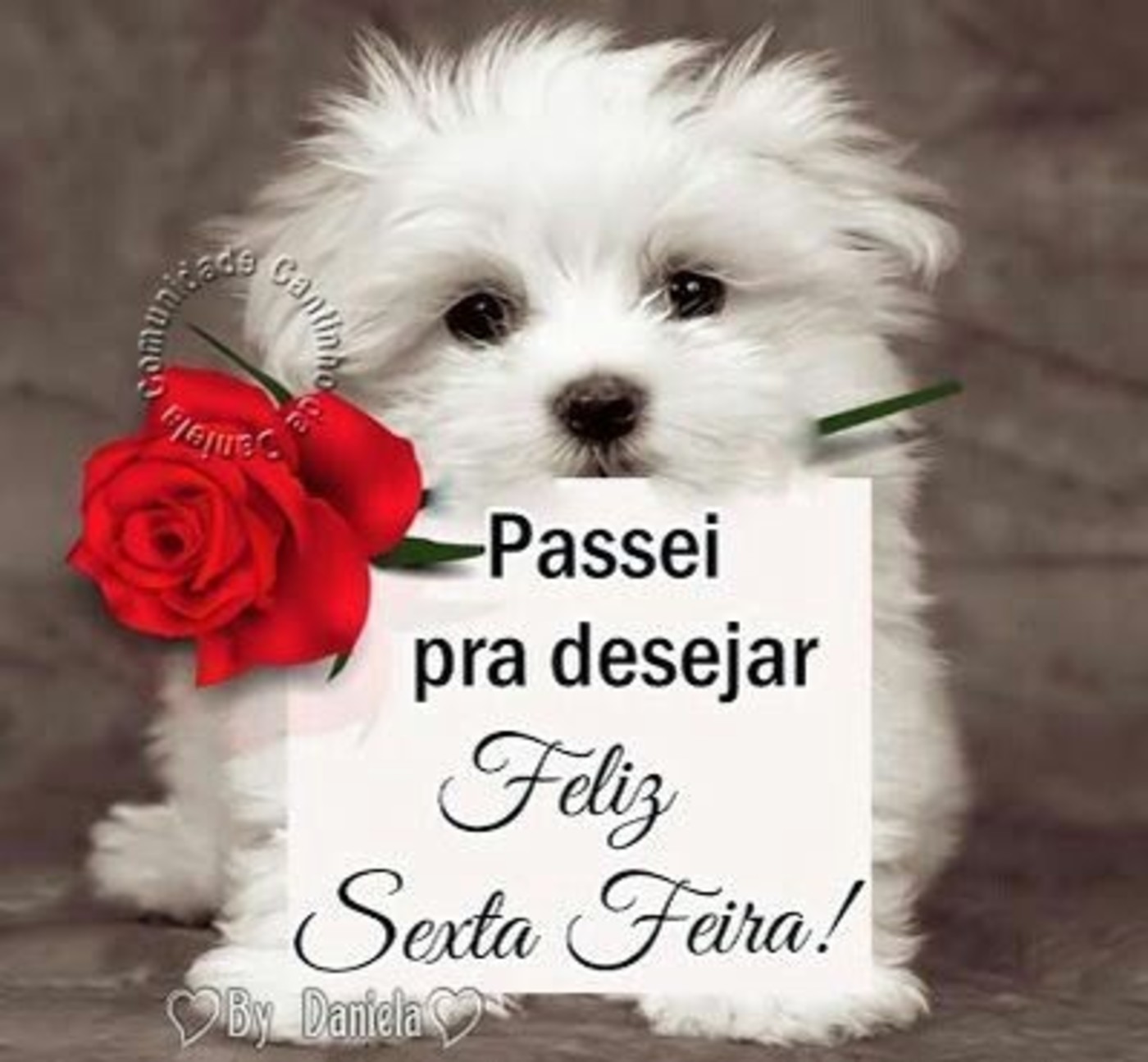 Feliz Sexta-feira Bom Dia amor 106