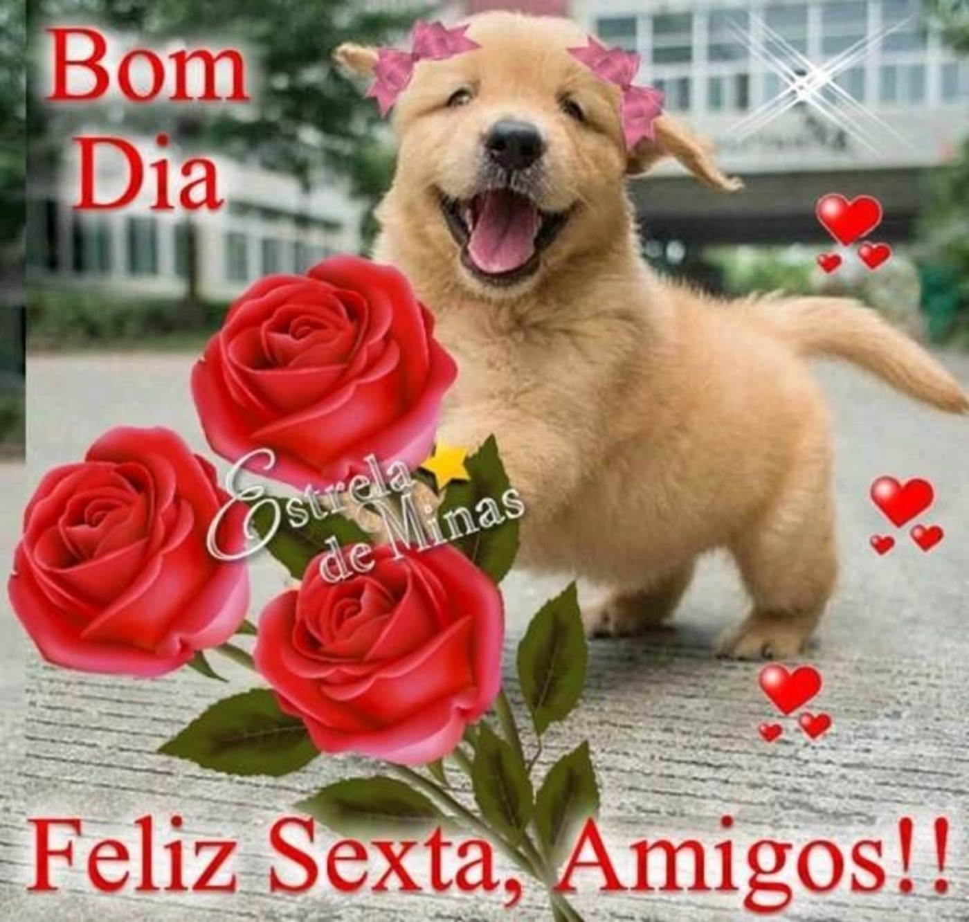 Feliz Sexta-feira amigos frases 44 - ImagensBomDia.net