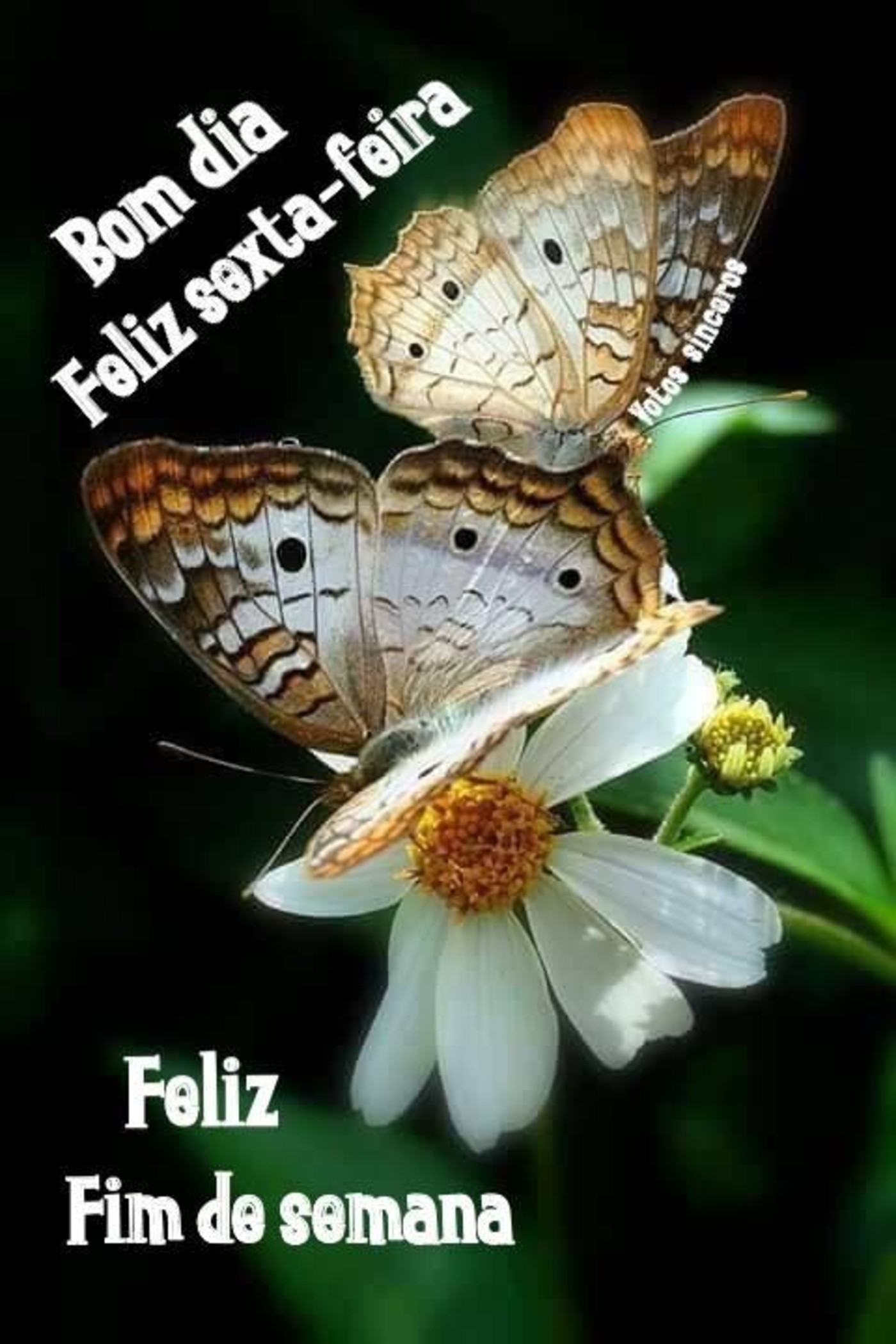 Feliz Sexta-feira belas mensagens 160