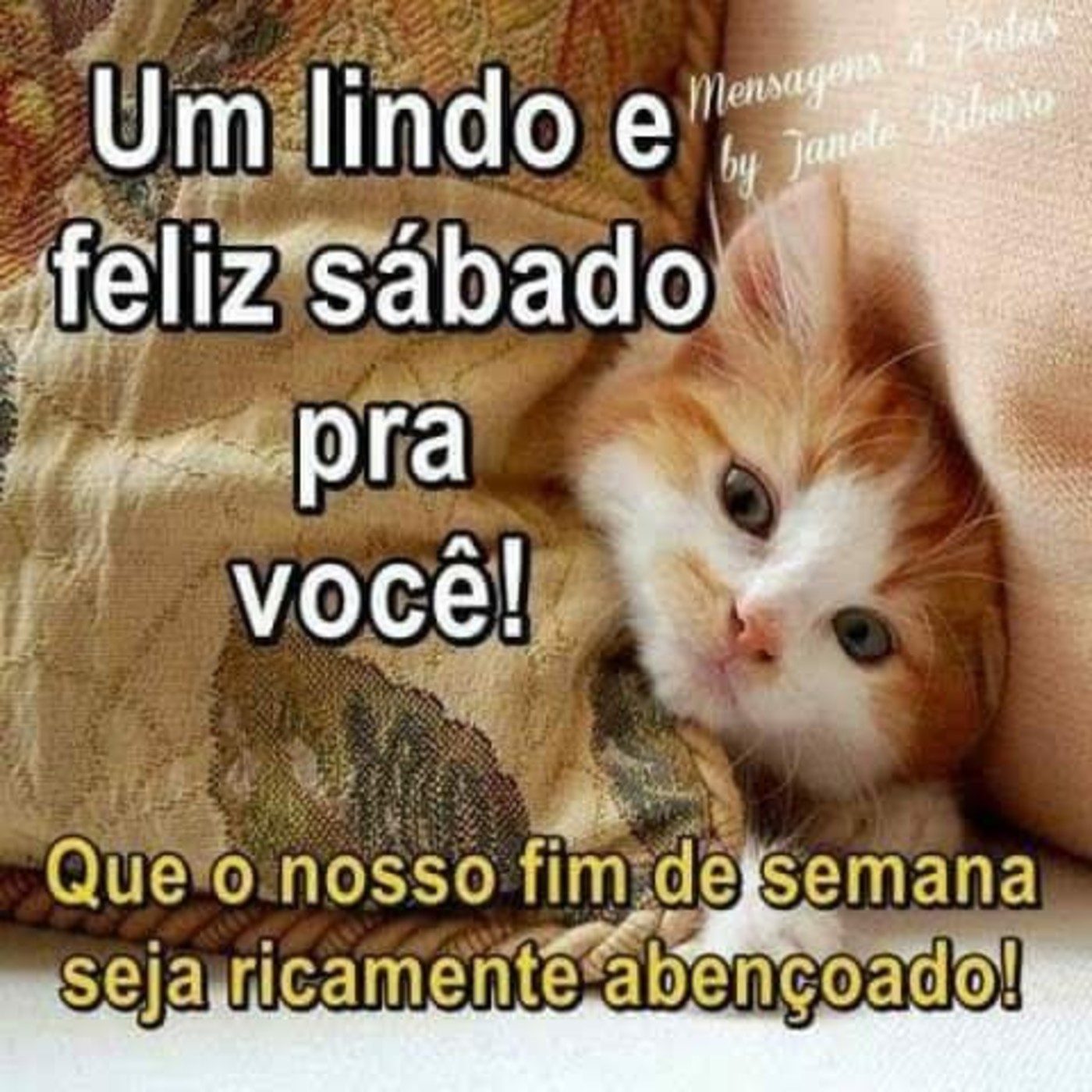 Feliz Sábado a todos mensagem 344