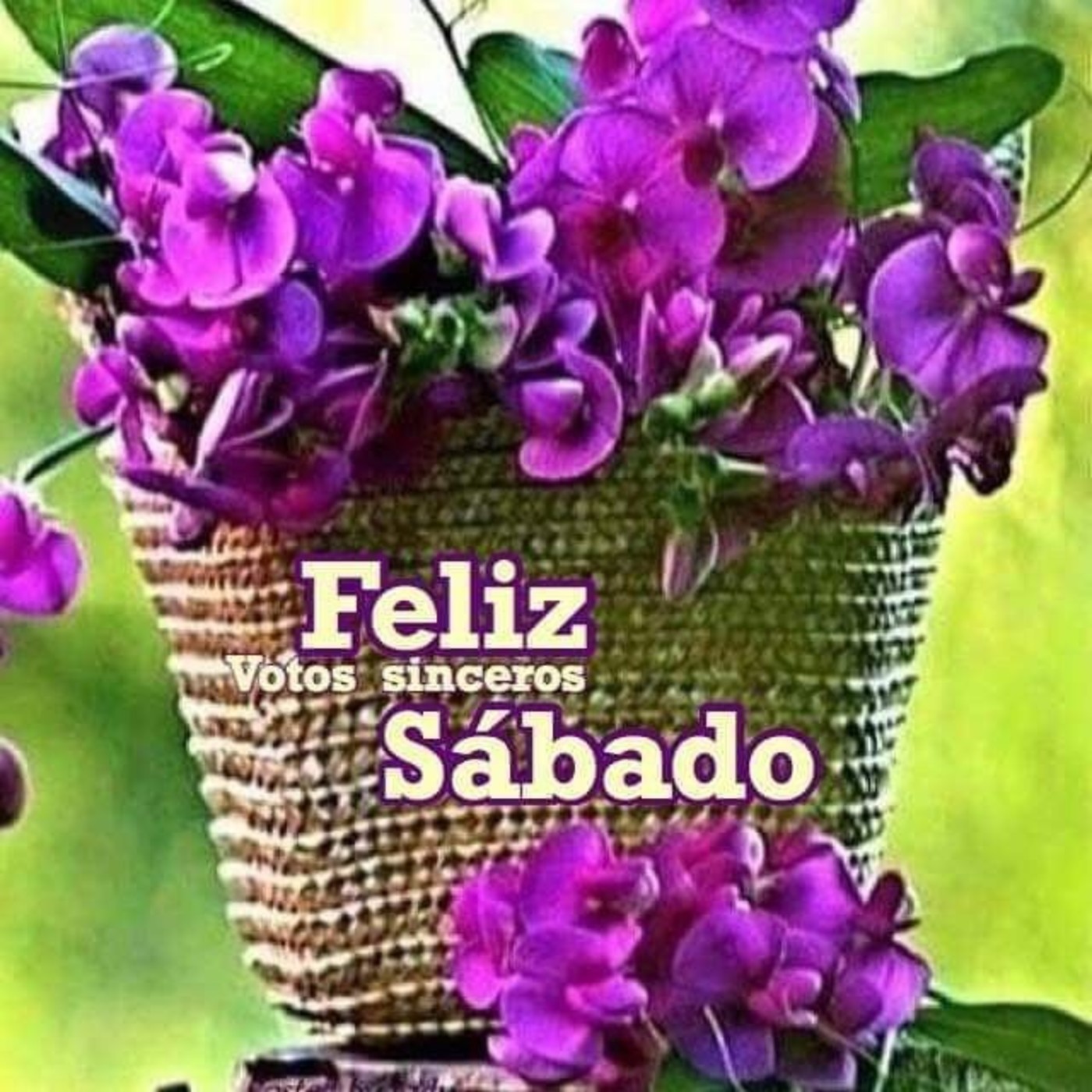 Feliz Sábado a todos mensagem 348