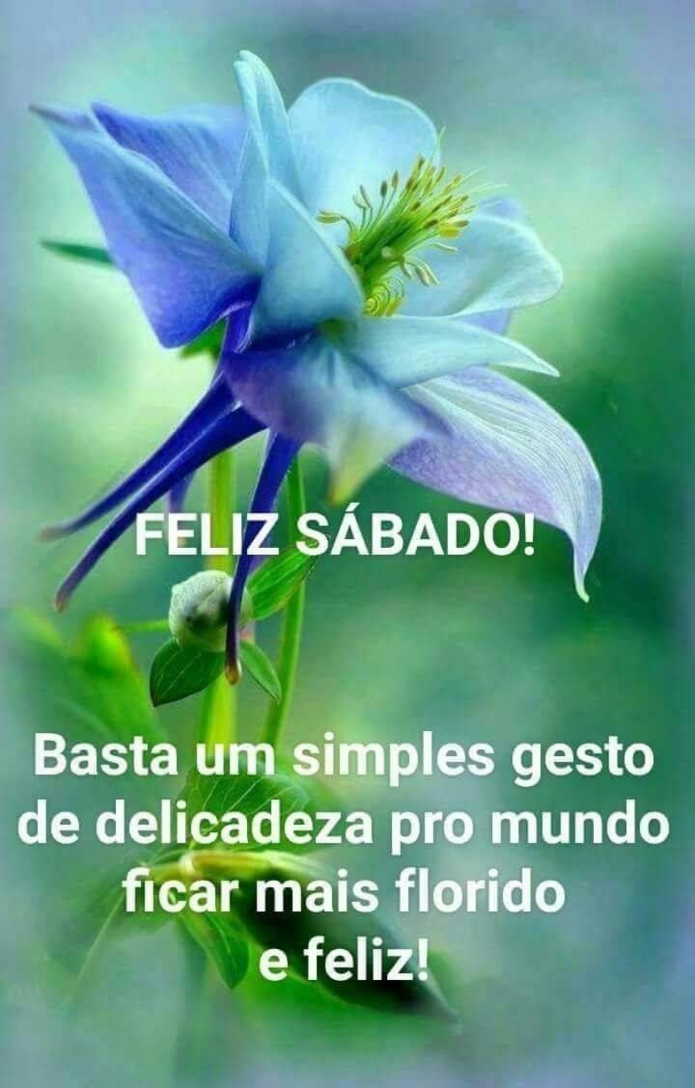 Feliz Sábado a todos mensagem 37