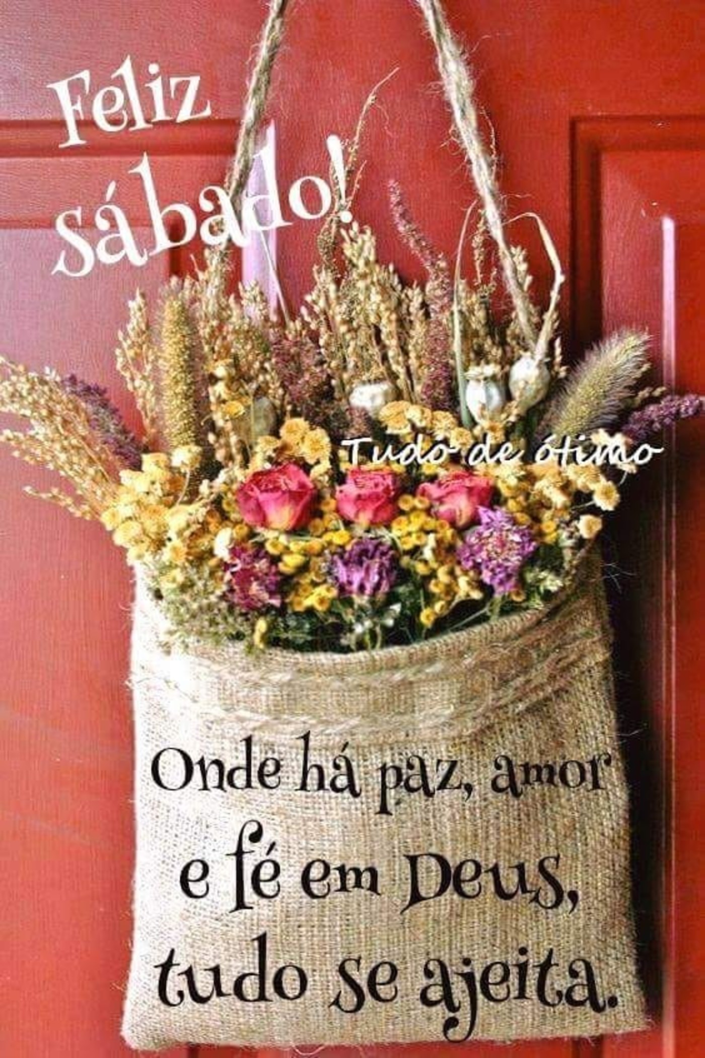 Feliz Sábado amigos 342