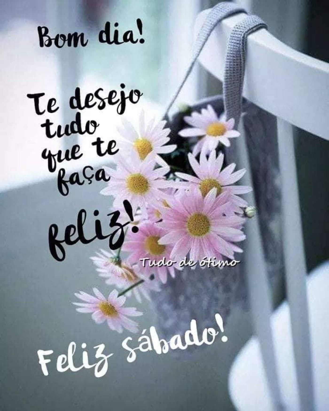 Feliz Sábado belas imagens 226