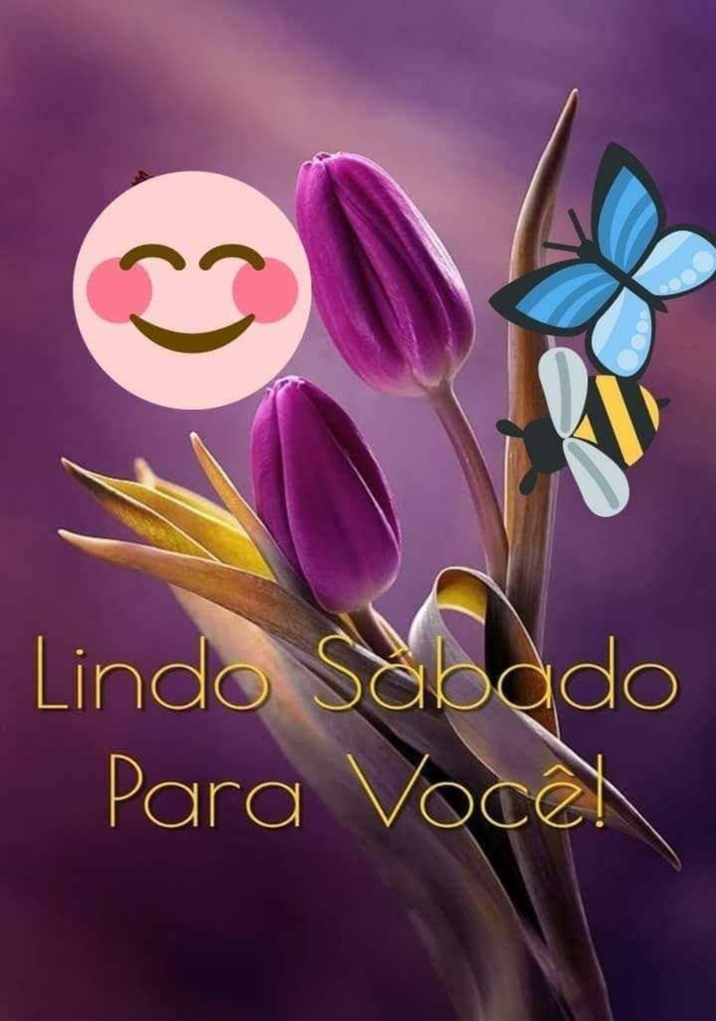Feliz Sábado belas imagens 235