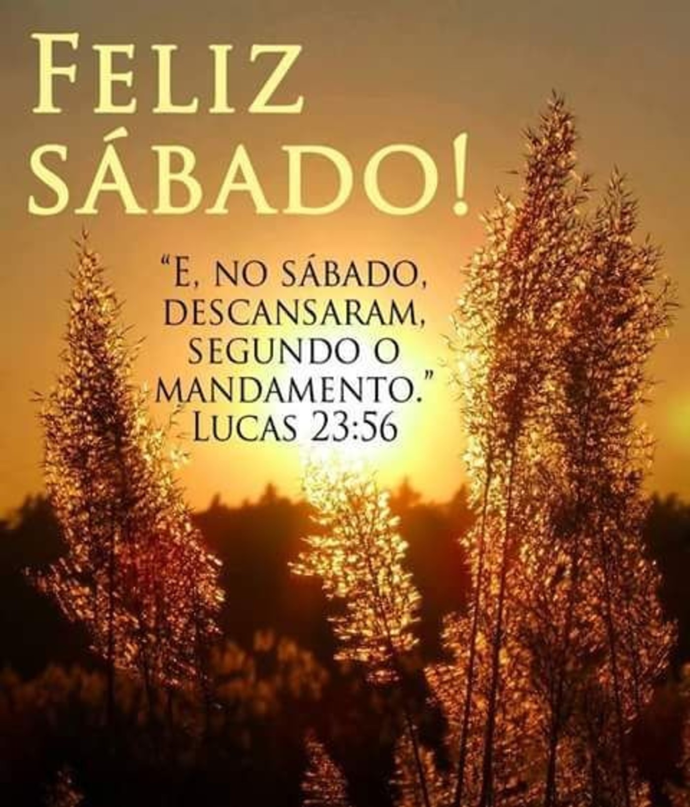 Feliz Sábado com Deus 169