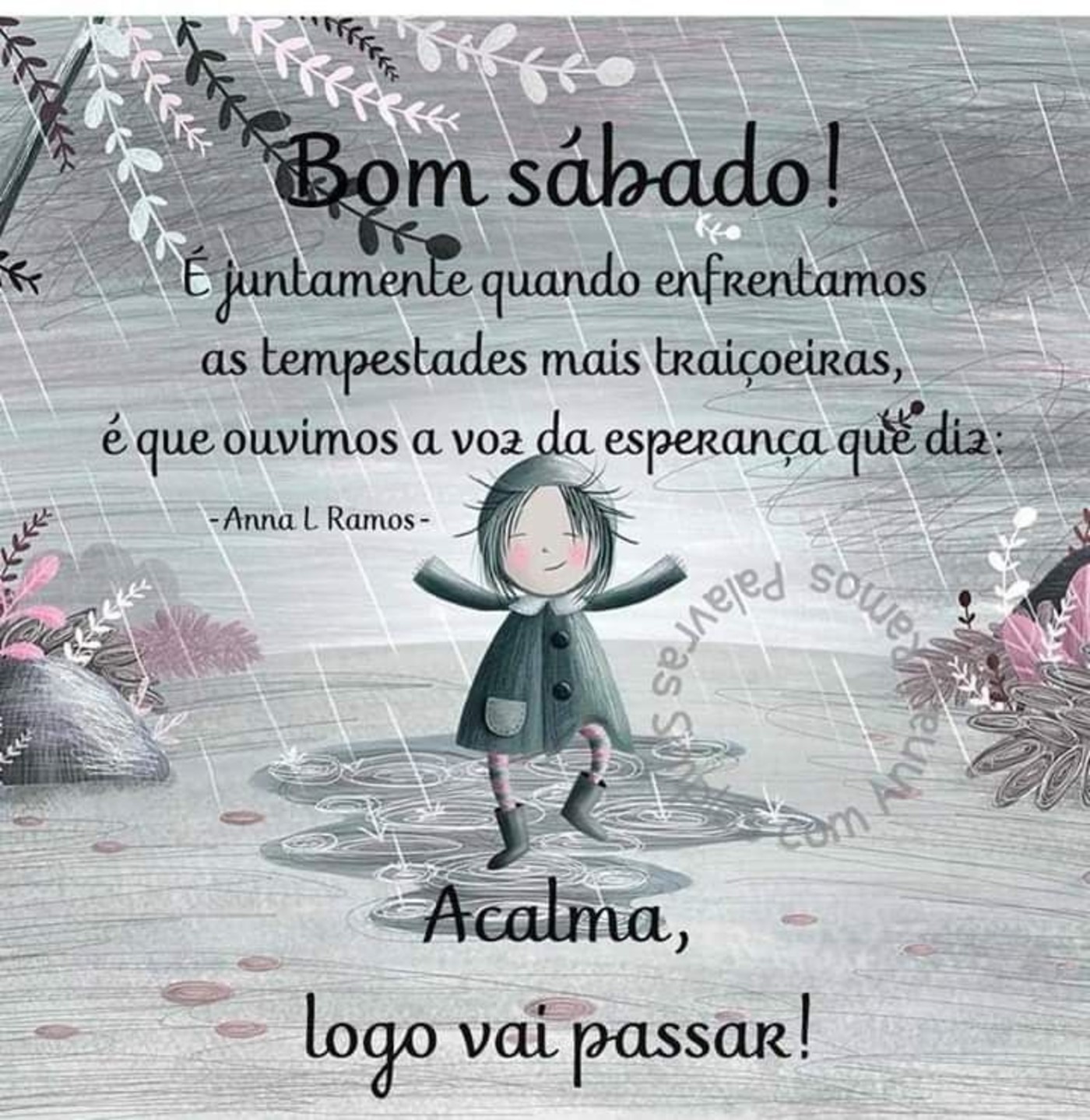 Feliz Sábado com chuva 61
