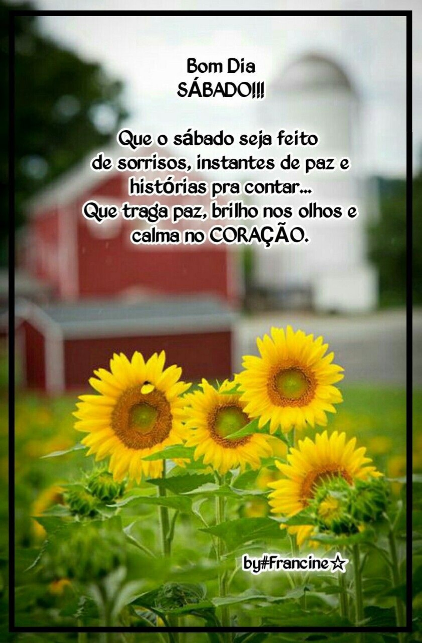 Feliz Sábado grupo WhatsApp 313