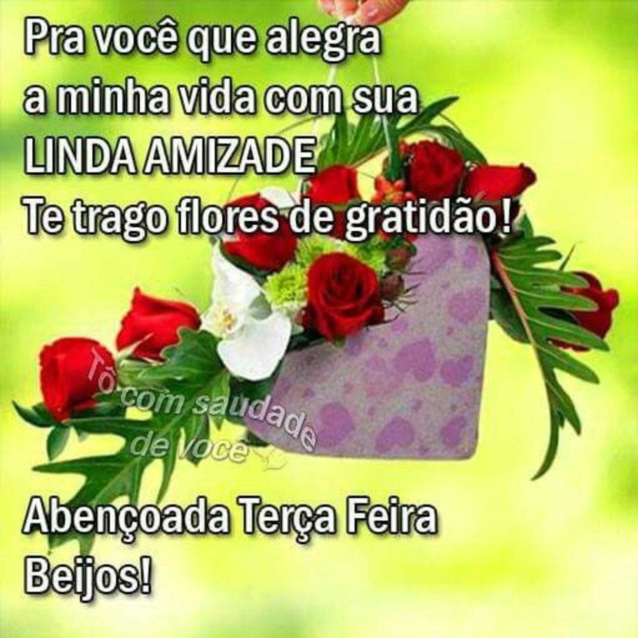 Feliz Terça-feira bom dia com Deus 182 Feliz Terça-feira bom dia com Deus 182