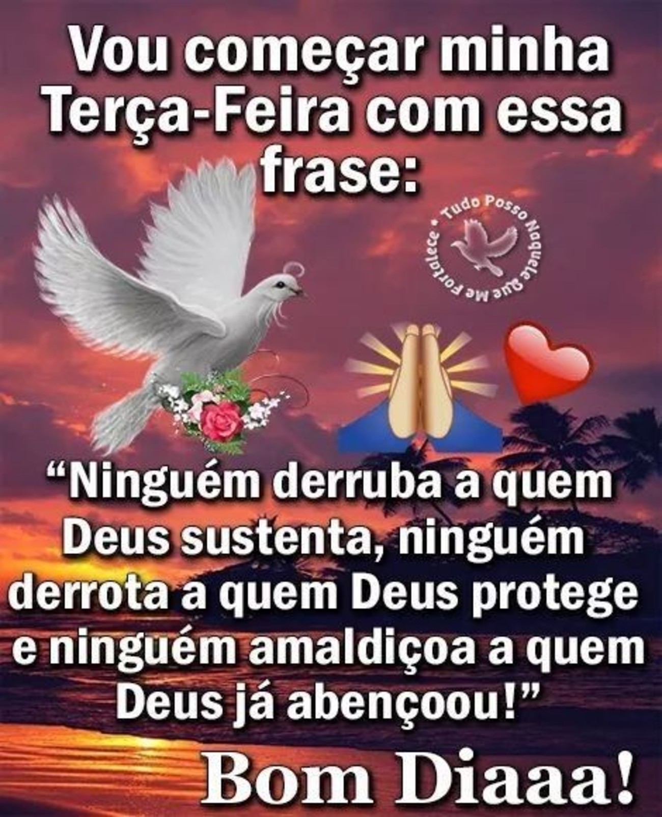 Feliz Terça-feira bom dia com Deus 222 Feliz Terça-feira bom dia com Deus 222