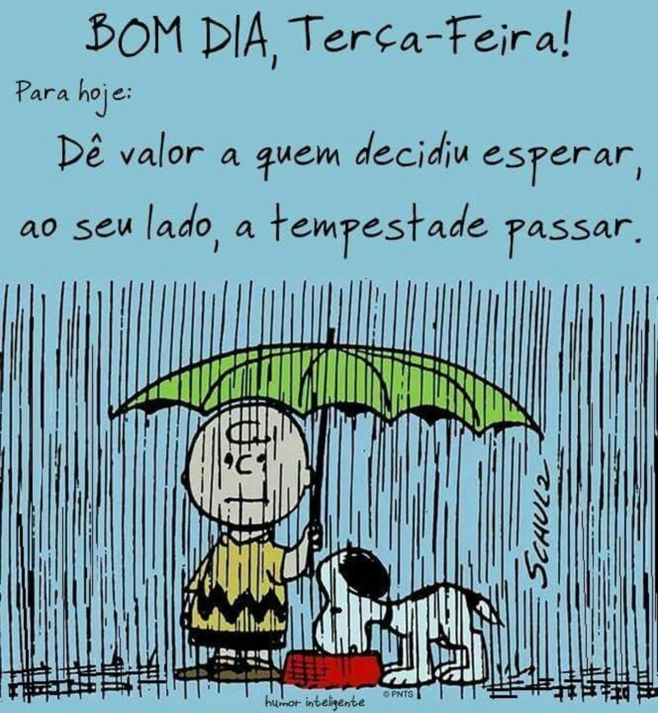 Feliz Terça-feira chuva 157 Feliz Terça-feira chuva 157