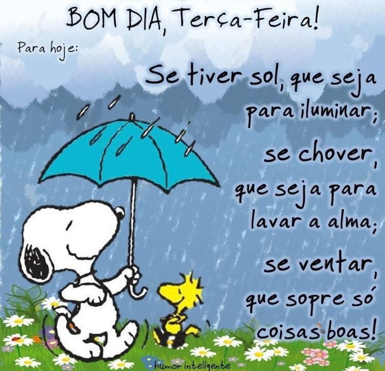 Feliz Terça-feira com chuva Feliz Terça-feira com chuva