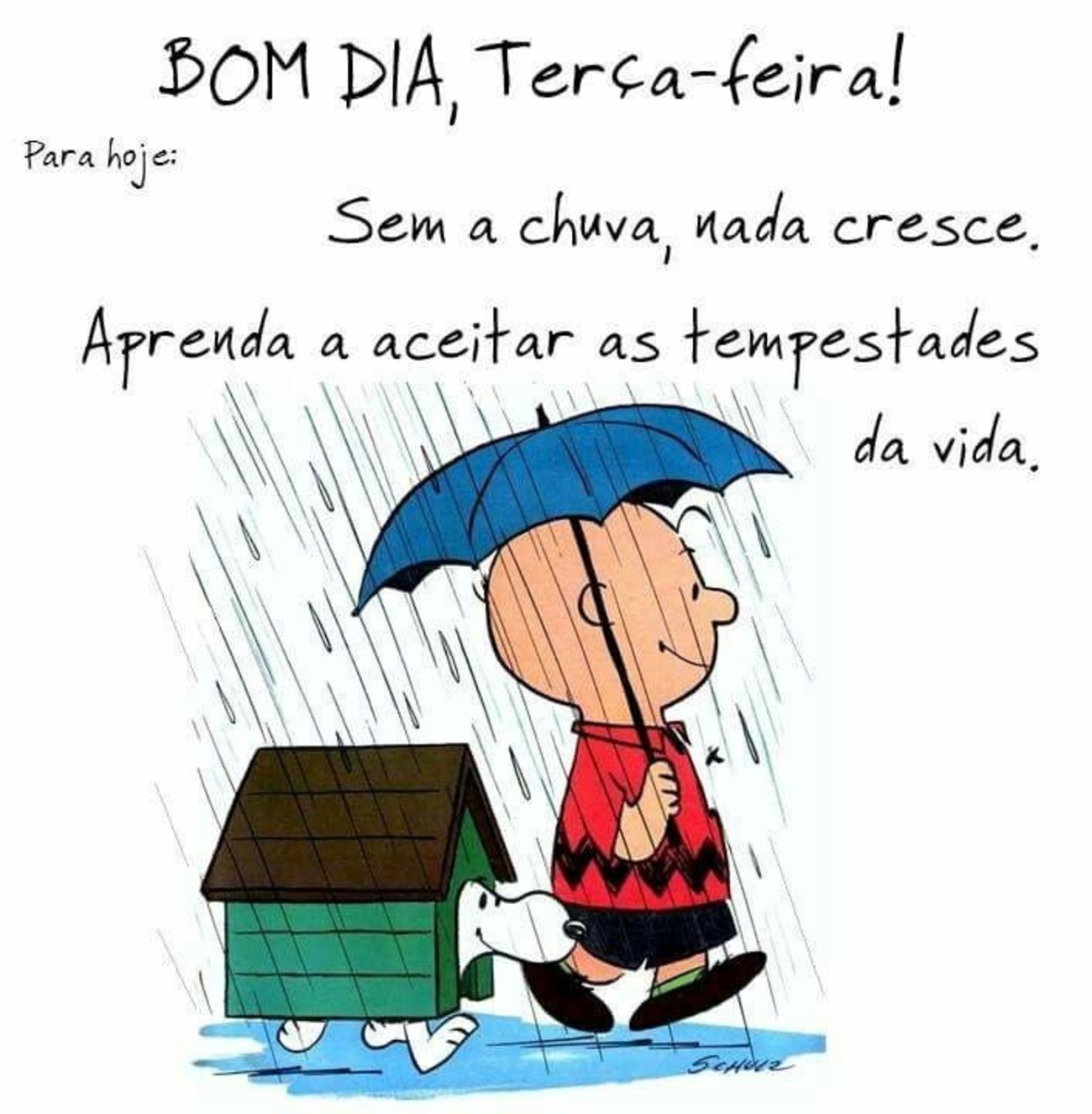 Feliz Terça-feira com chuva Feliz Terça-feira com chuva