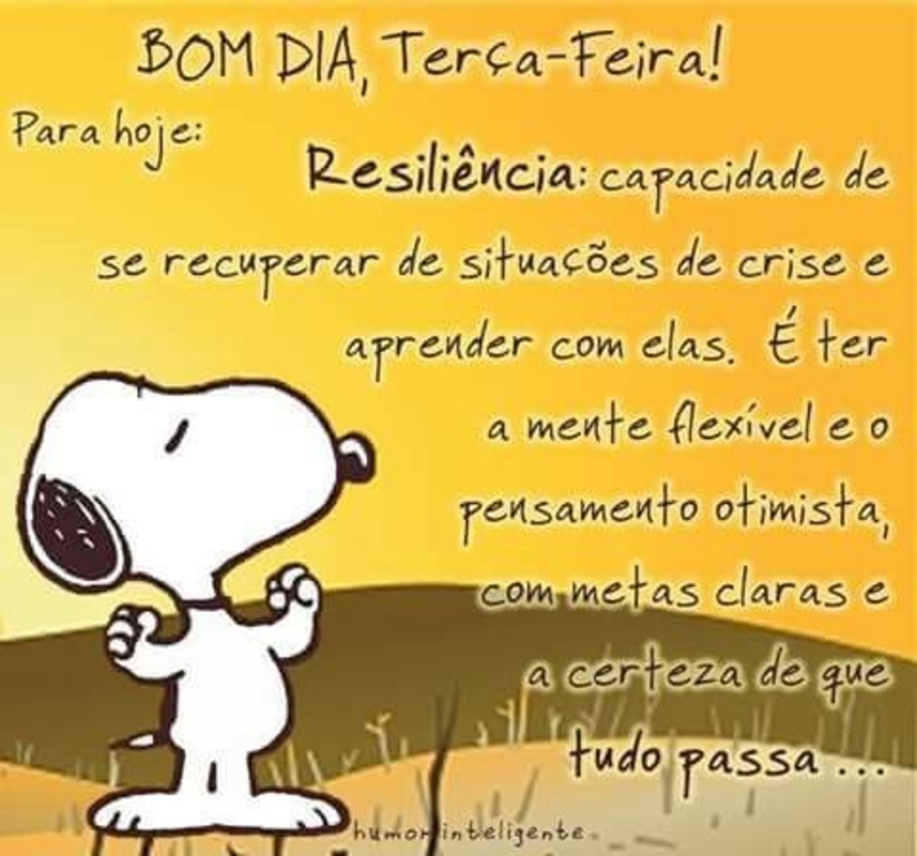 Feliz Terça-feira Snoopy 46