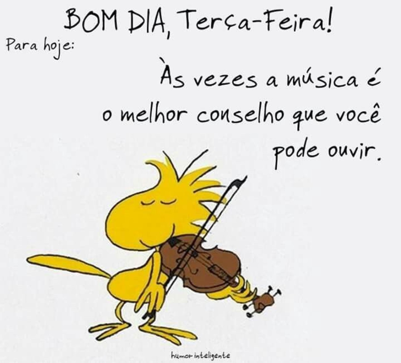 Feliz Terça-feira belas imagens 186