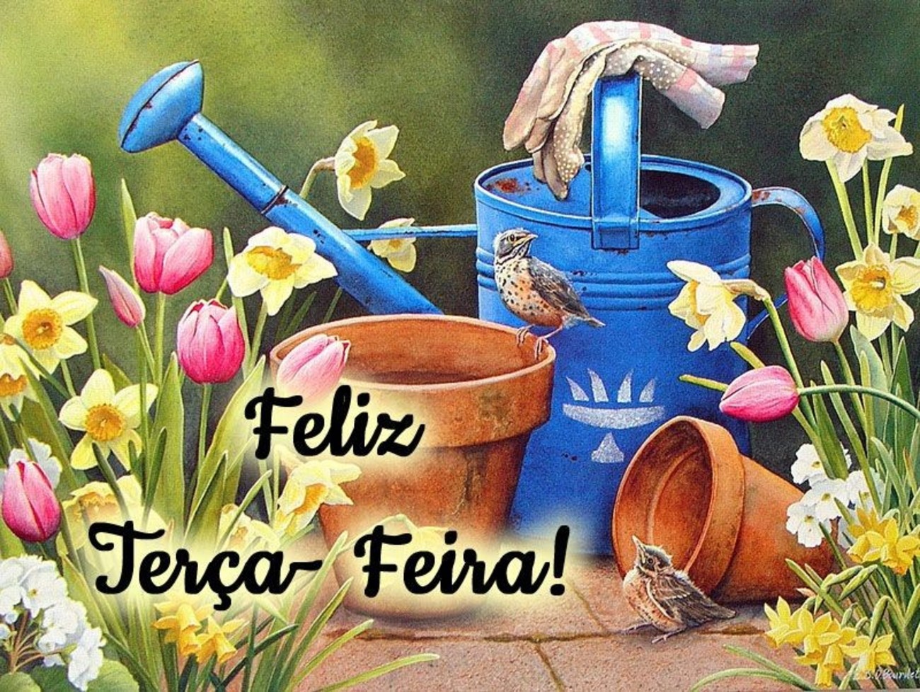 Feliz Terça-feira belas imagens 192