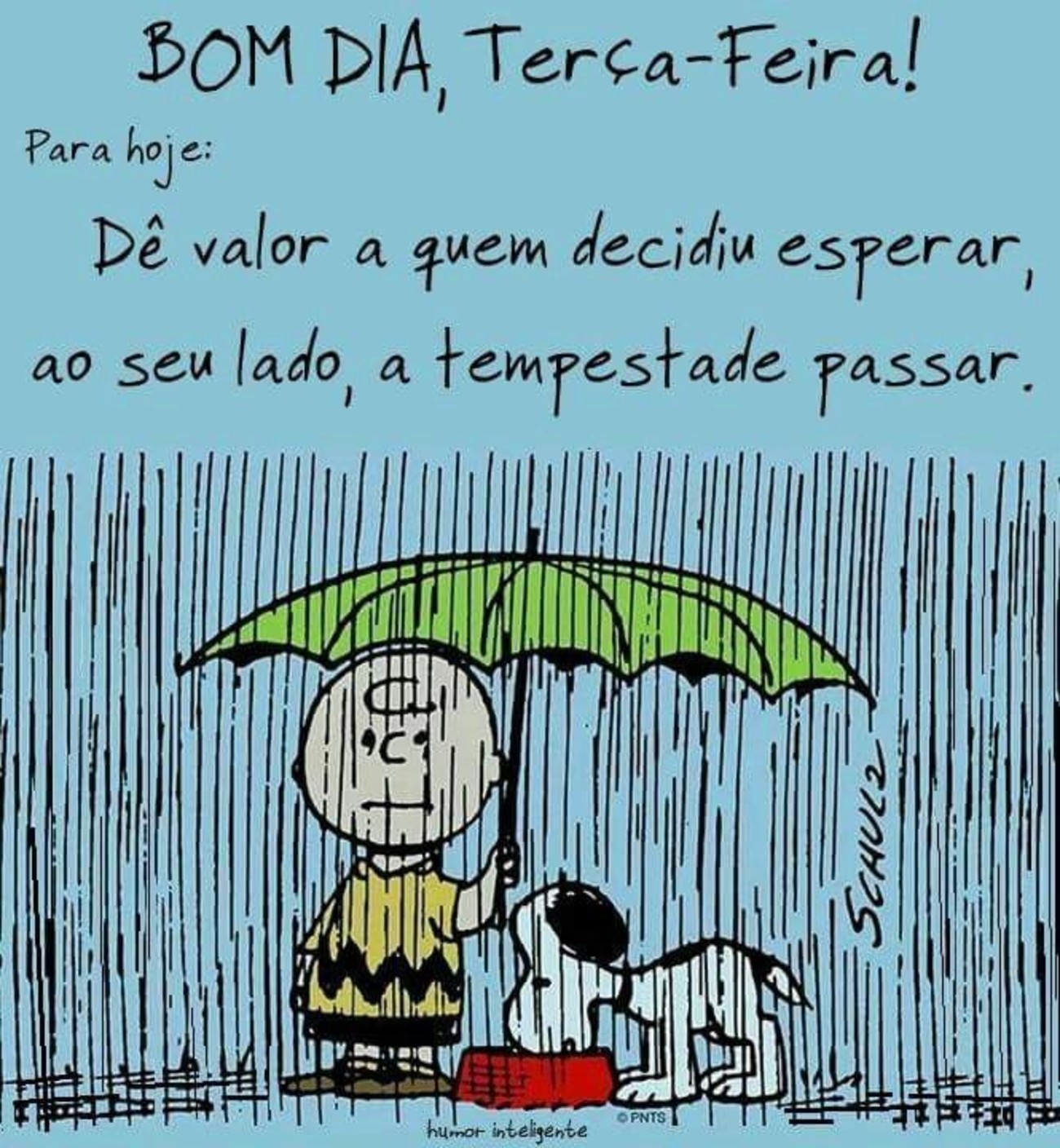 Feliz Terça-feira chuva 157