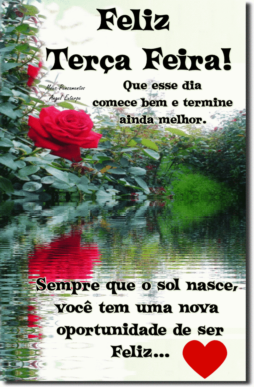 Feliz Terça-feira imagens GIF 32