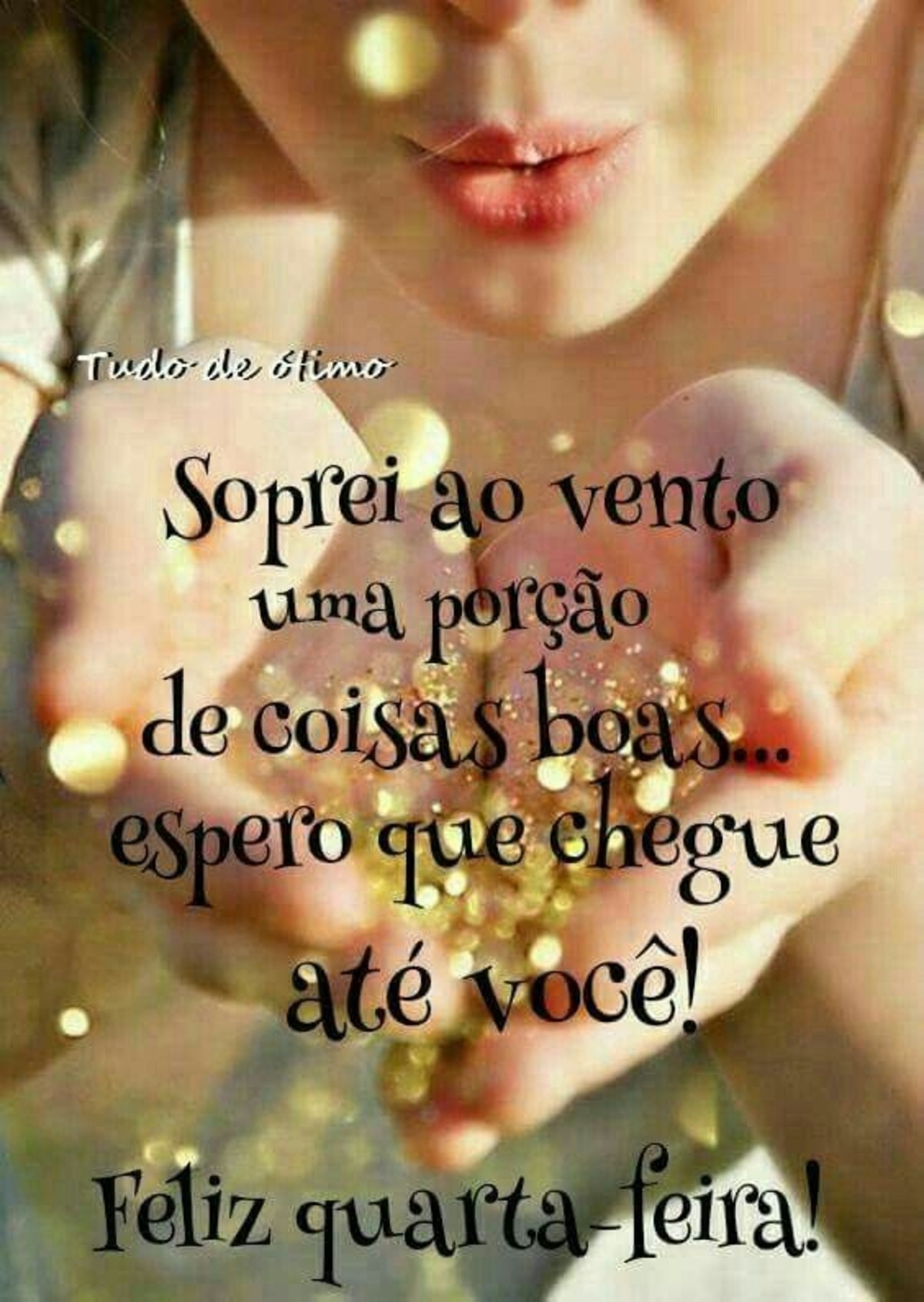 Feliz quarta feira e bom dia 82