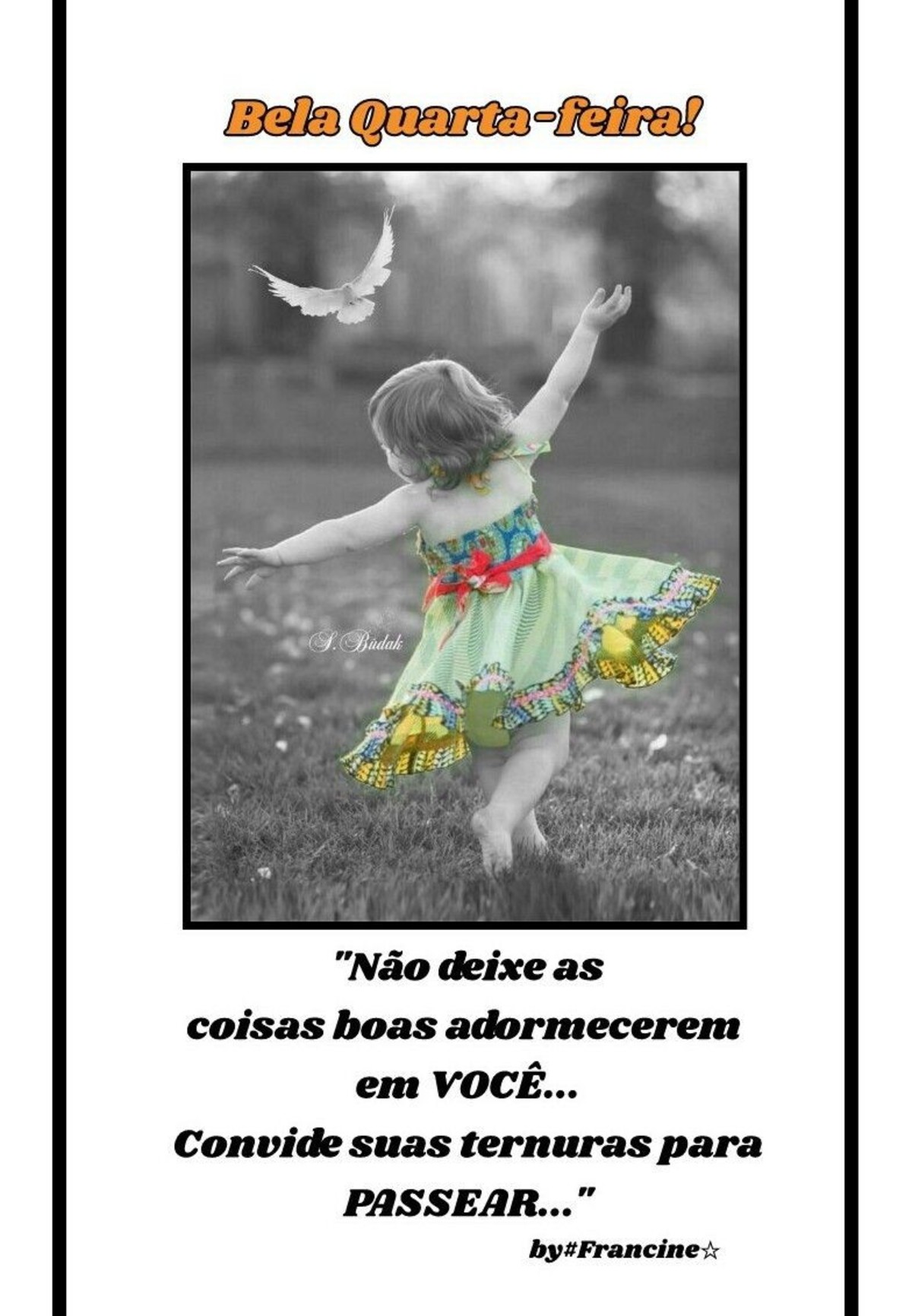 Feliz quarta feira e bom dia 86