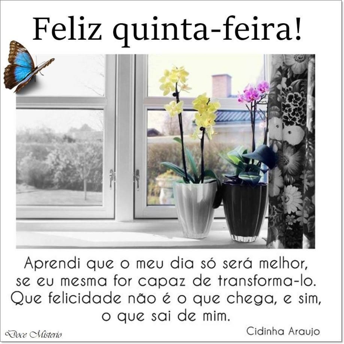 Feliz quinta feira bom dia 217