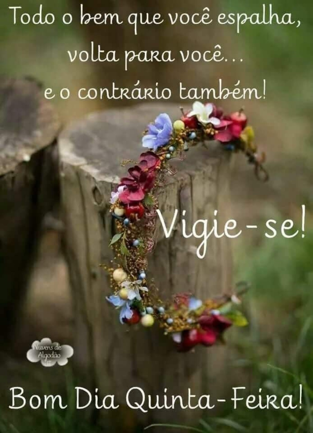 Feliz quinta feira bom dia 221