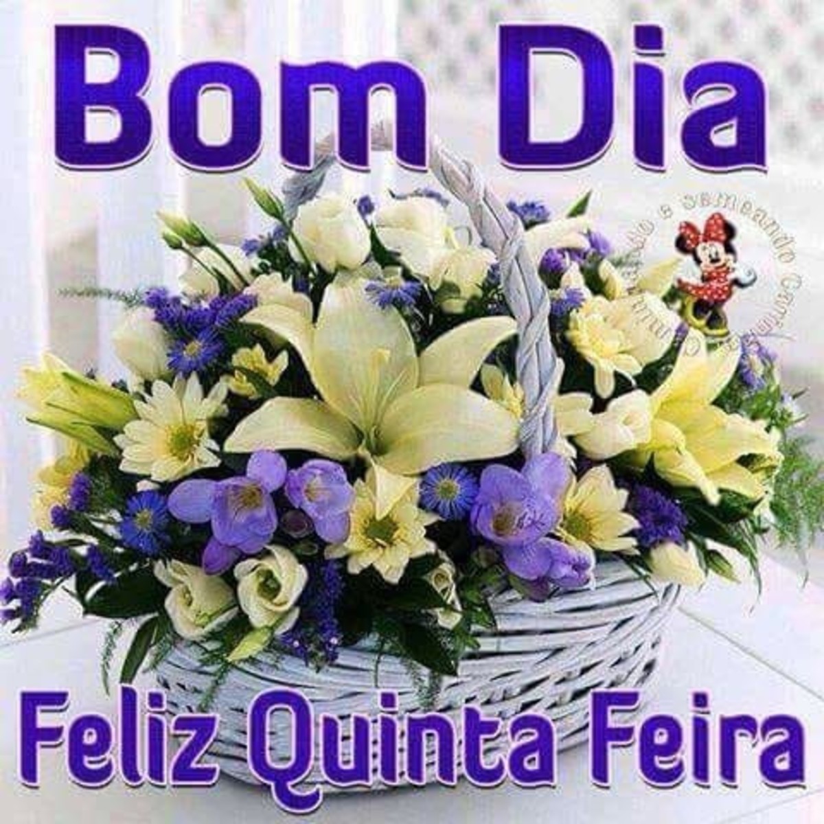 Feliz quinta feira e bom dia Feliz quinta feira e bom dia