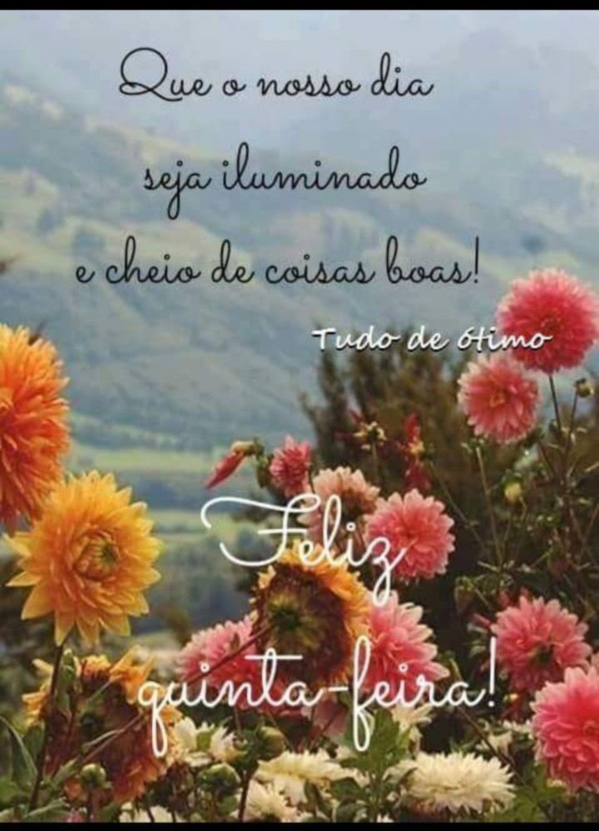 Feliz quinta feira e bom dia 242
