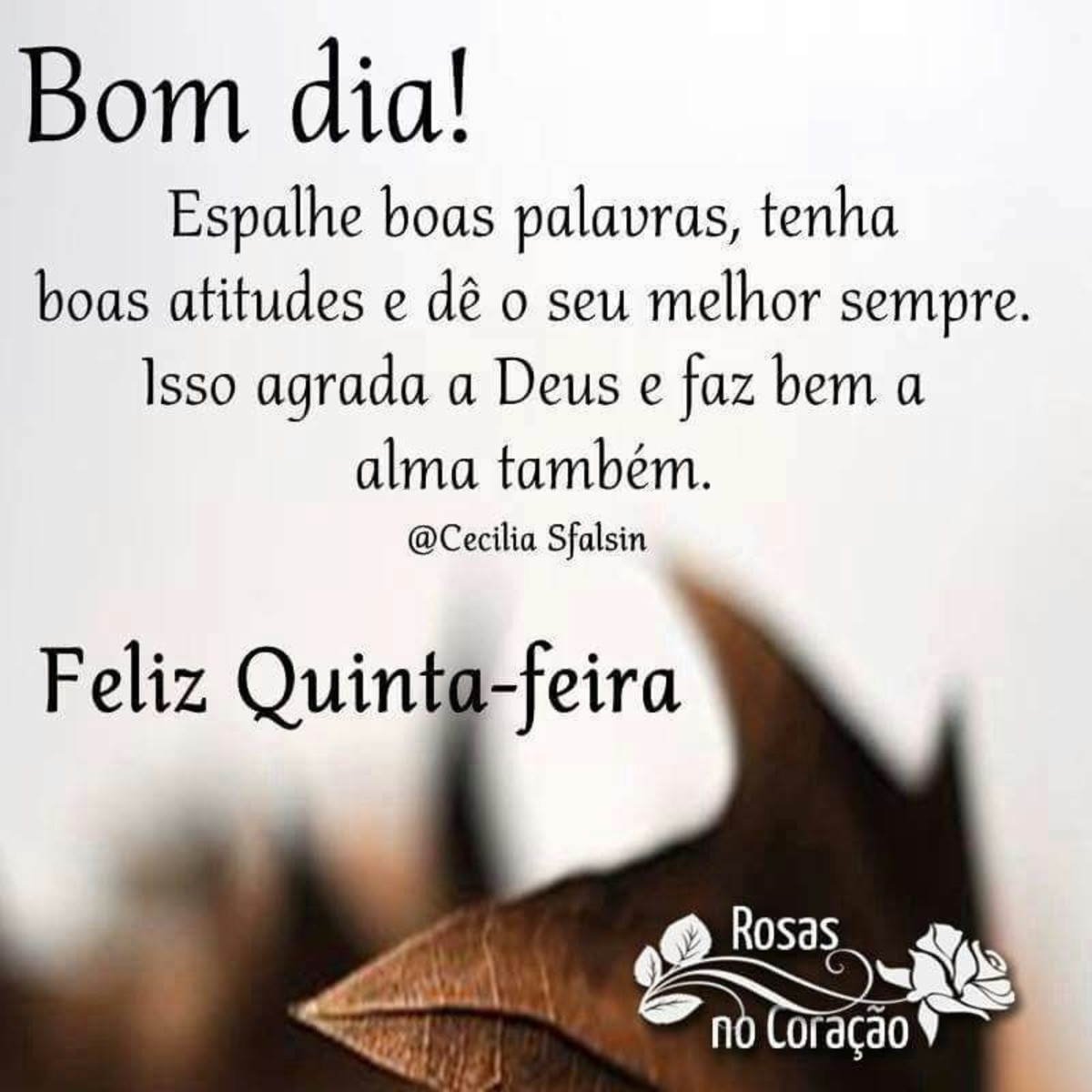 Feliz quinta feira e bom dia Feliz quinta feira e bom dia