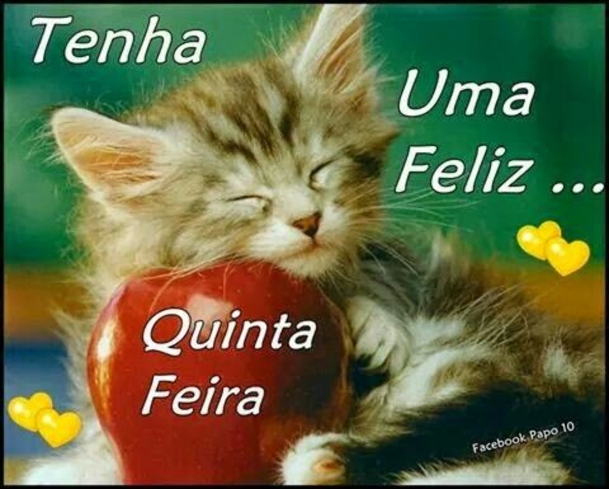 Feliz quinta feira mensagem 228