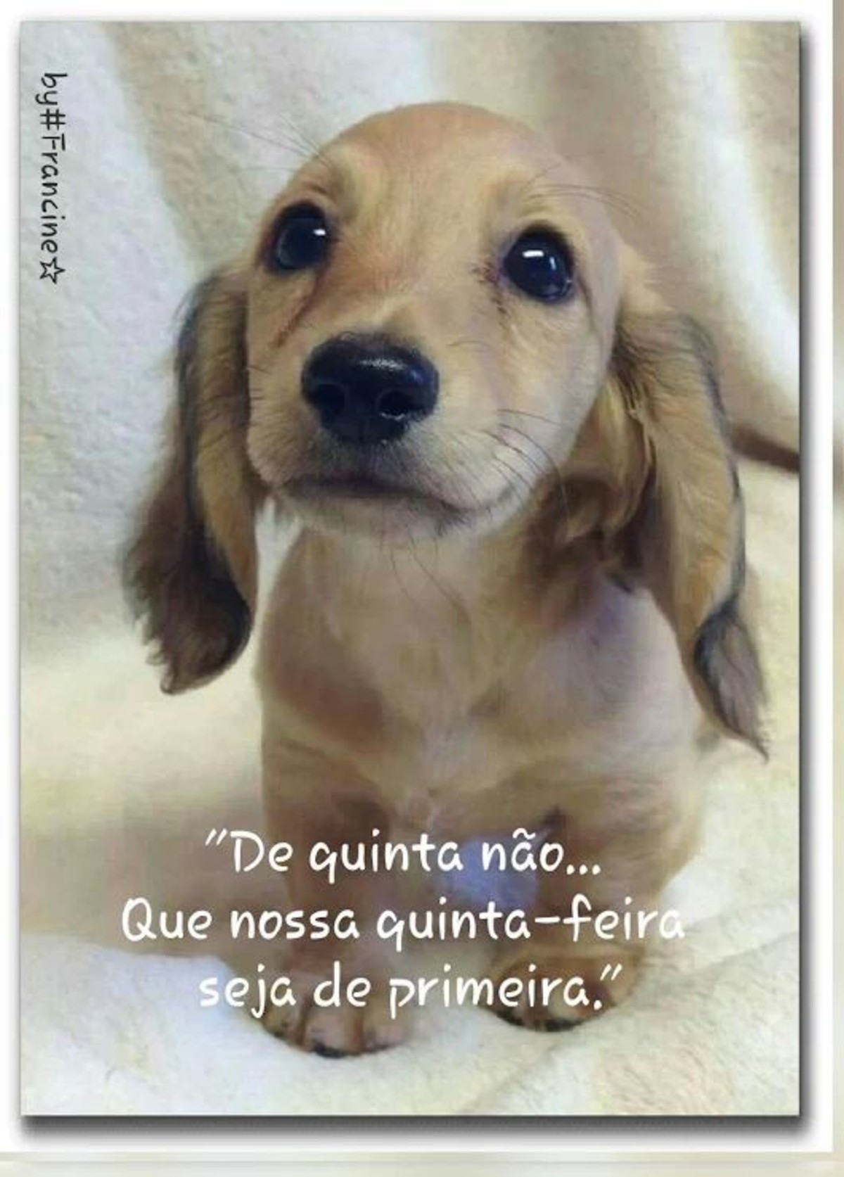 Feliz quinta feira mensagem 229